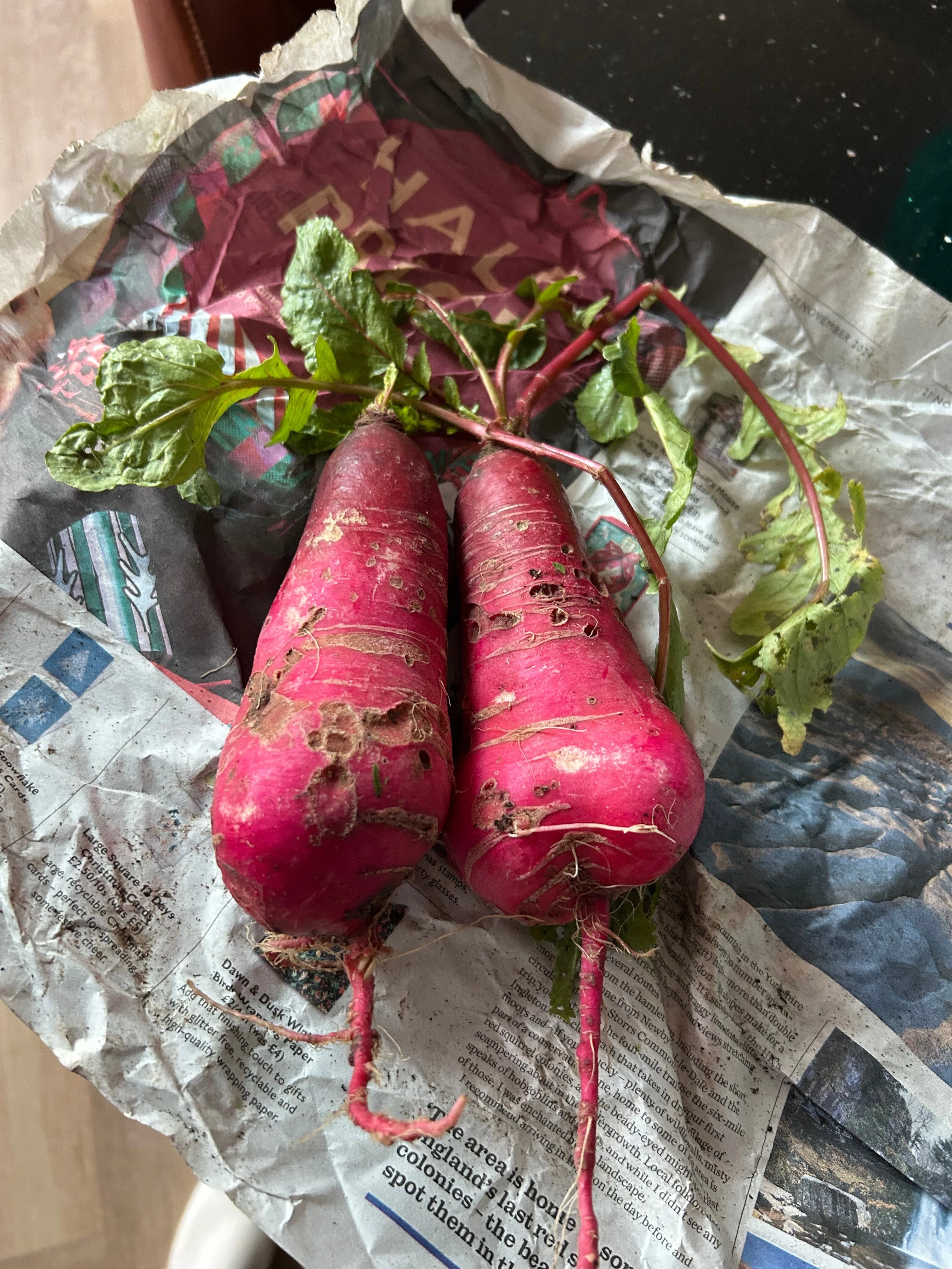 How to get natural farming Japanese vegetables in London?｜らん