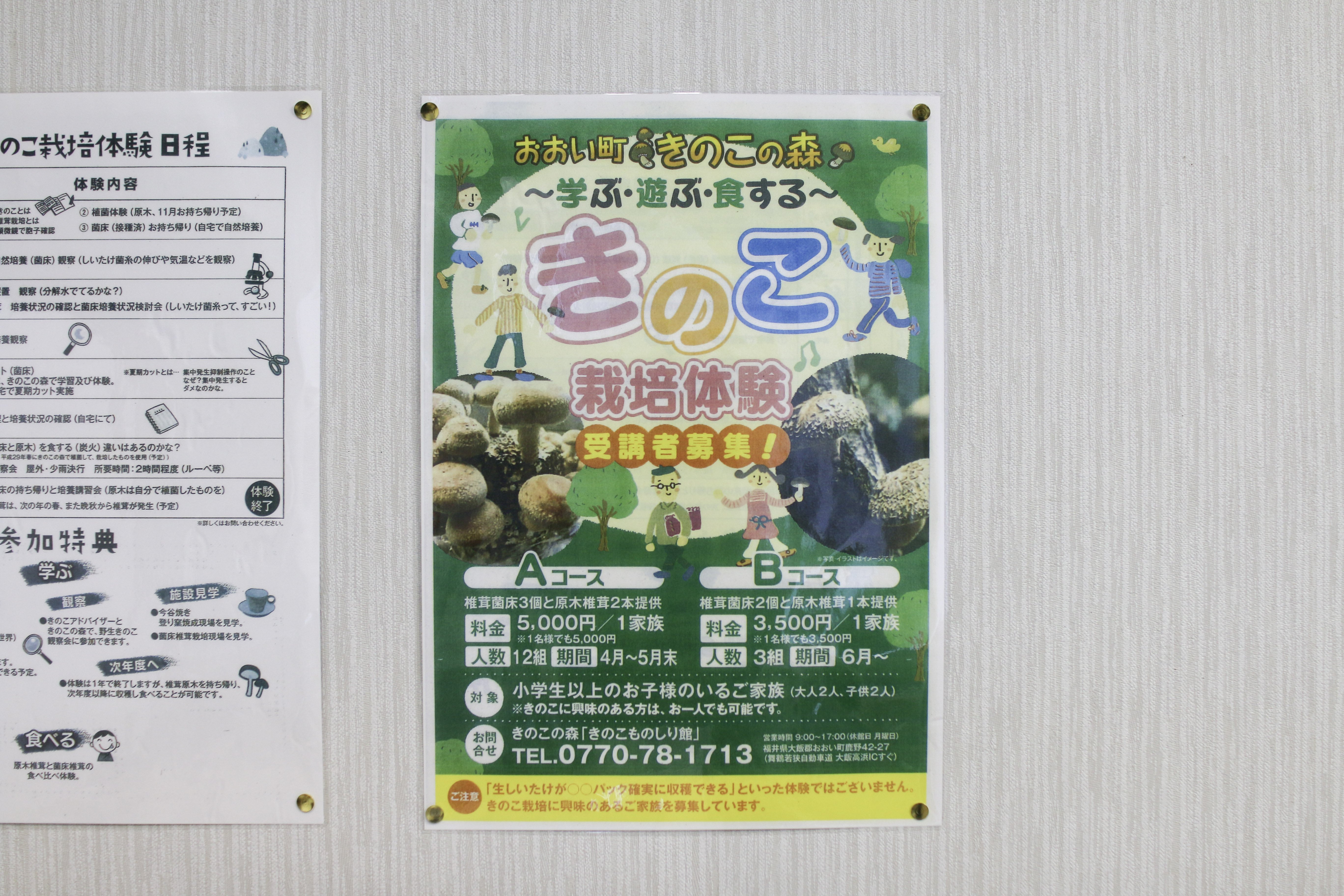 きのこって何？」町のきのこアドバイザーに尋ねてみました。｜おおい