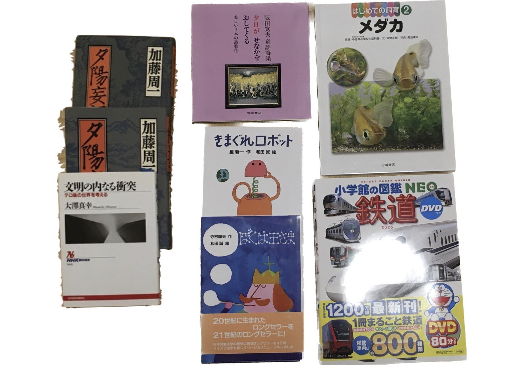 神保町ブックフェスティバル＆古本市2024年ぶらり｜出ん出ん虫