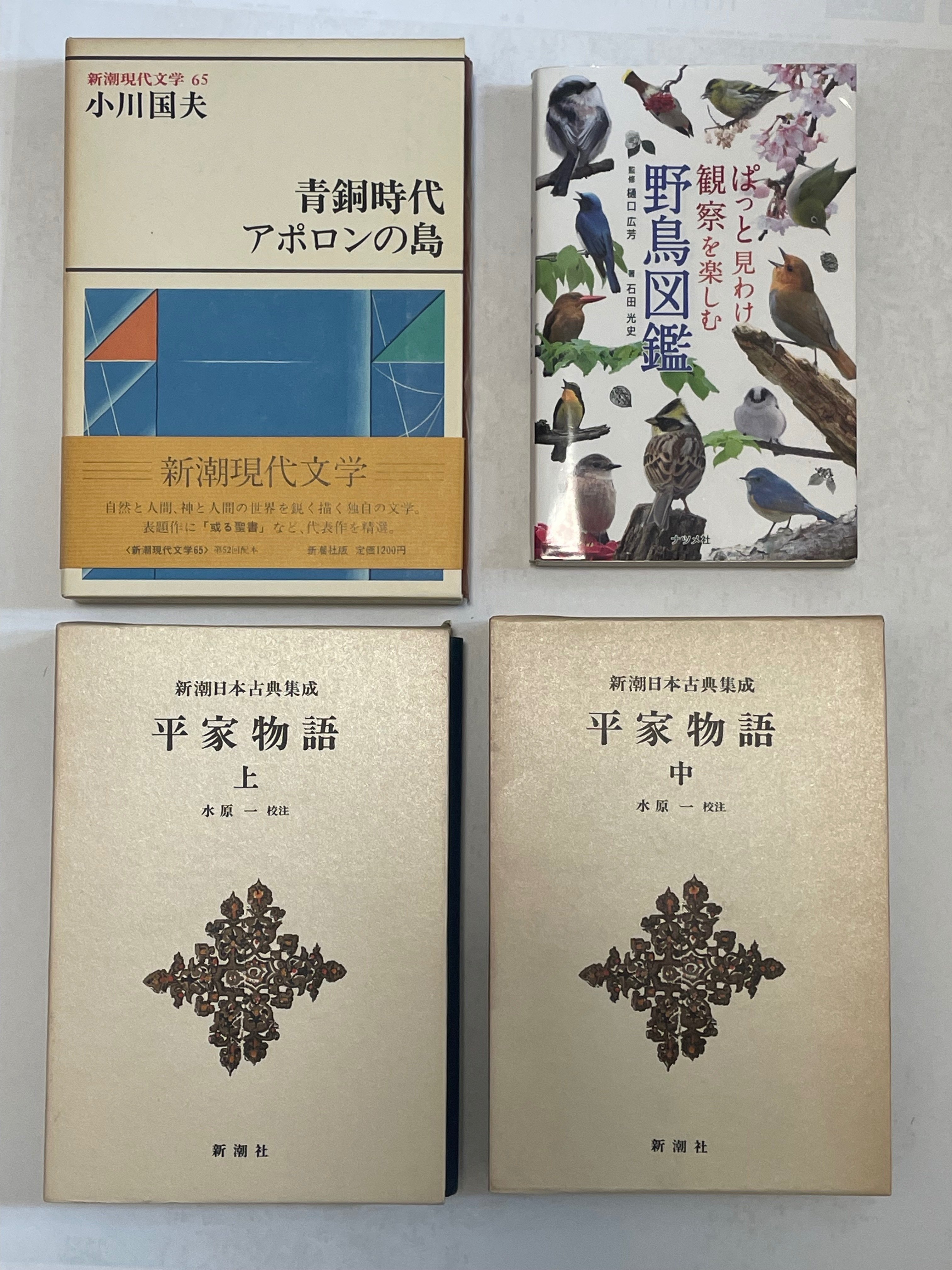 神保町ブックフェスティバル＆古本市2024年ぶらり｜出ん出ん虫