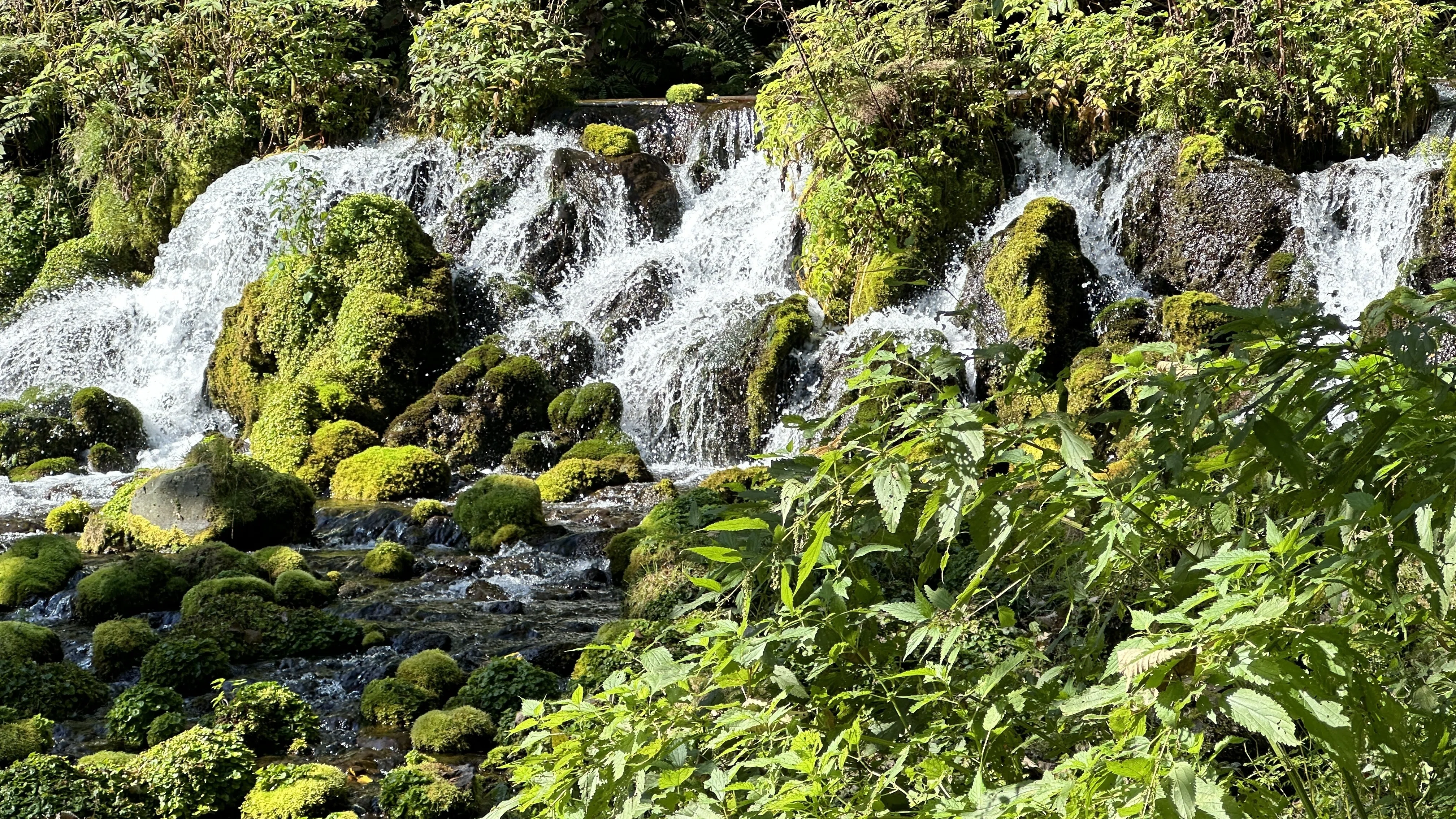 北海道時間.jp】第9回:湧き出る命の水 京極町の「羊蹄のふきだし湧水
