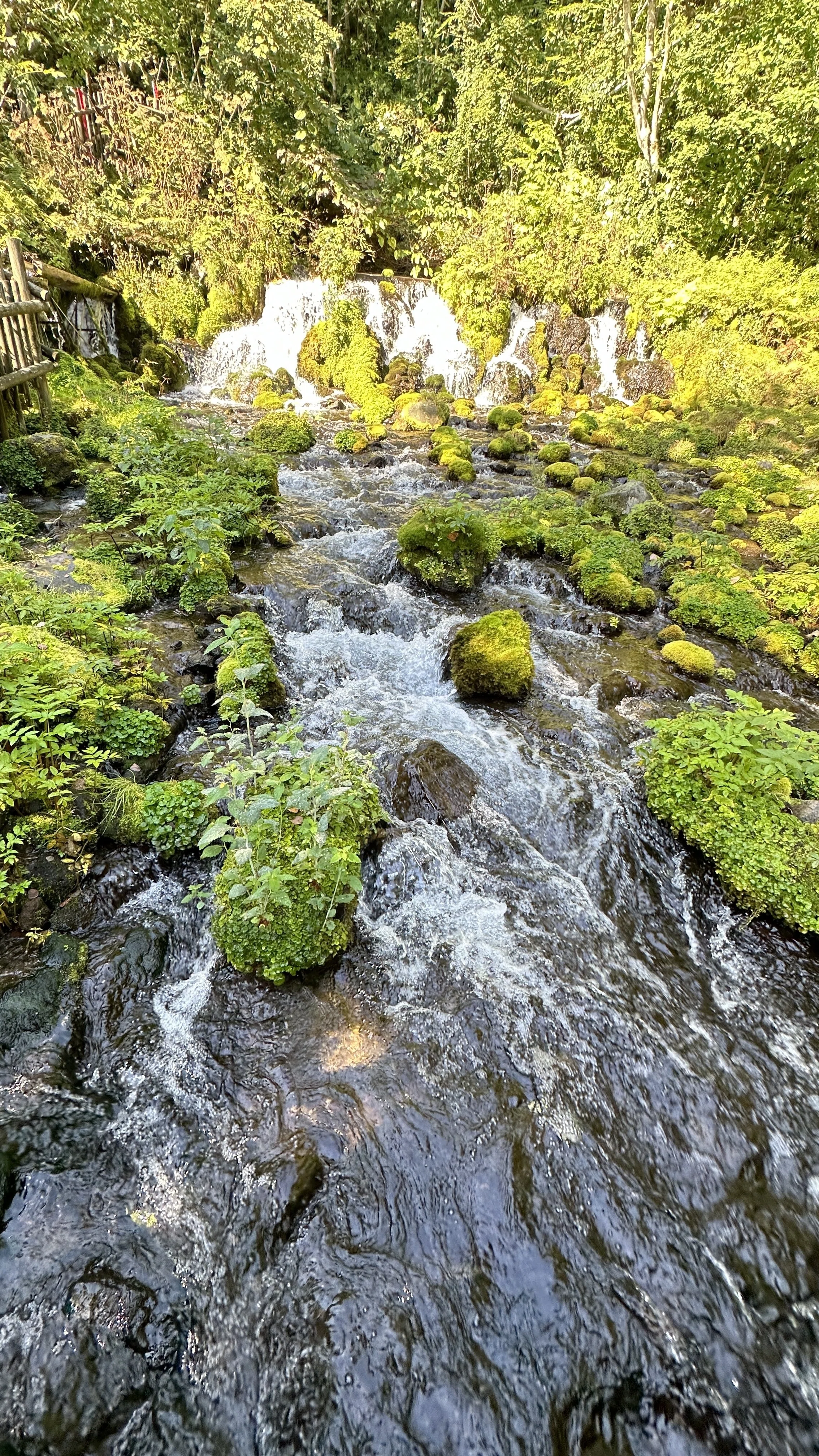 北海道時間.jp】第9回:湧き出る命の水 京極町の「羊蹄のふきだし湧水