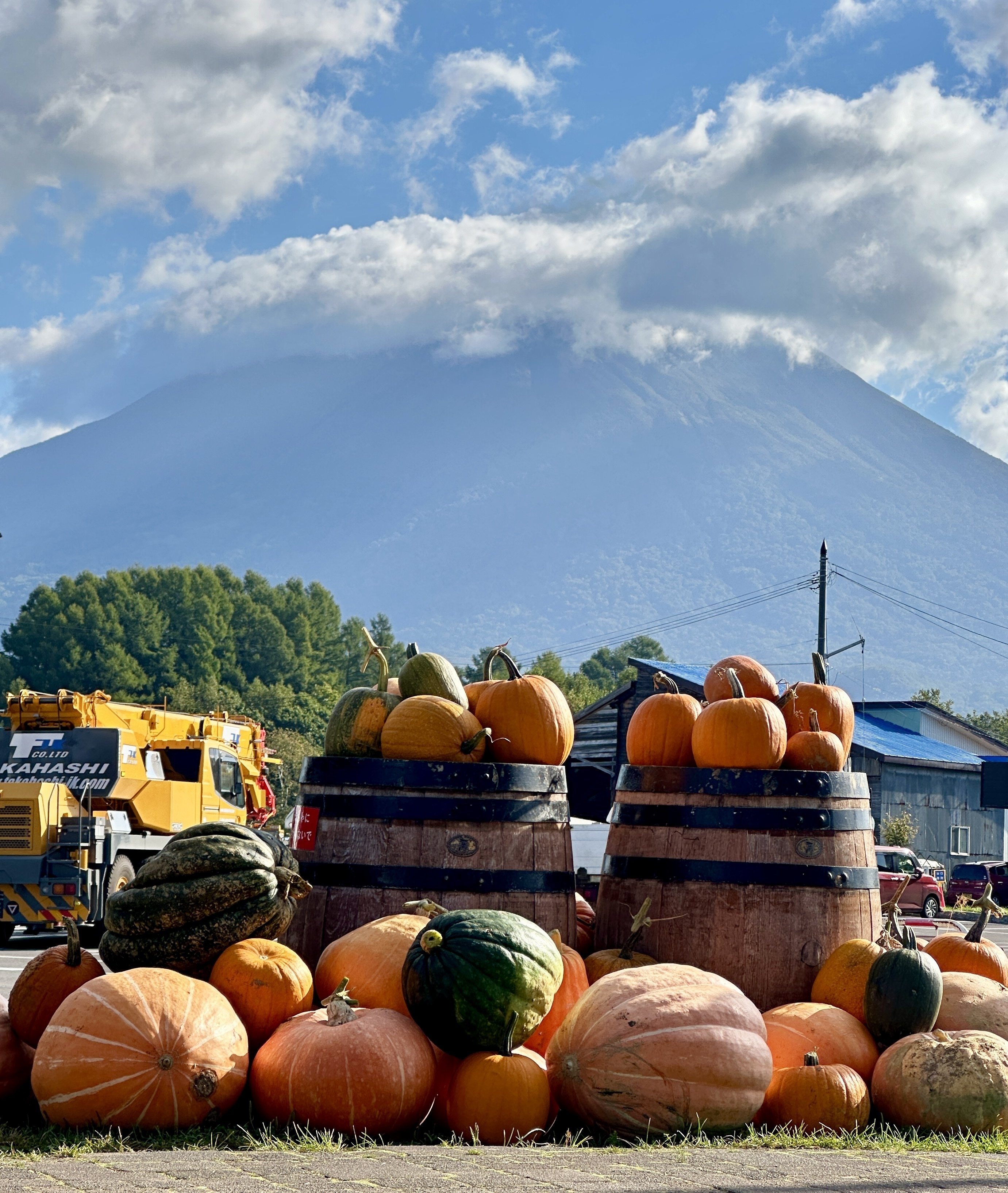 北海道時間.jp】第9回:湧き出る命の水 京極町の「羊蹄のふきだし湧水
