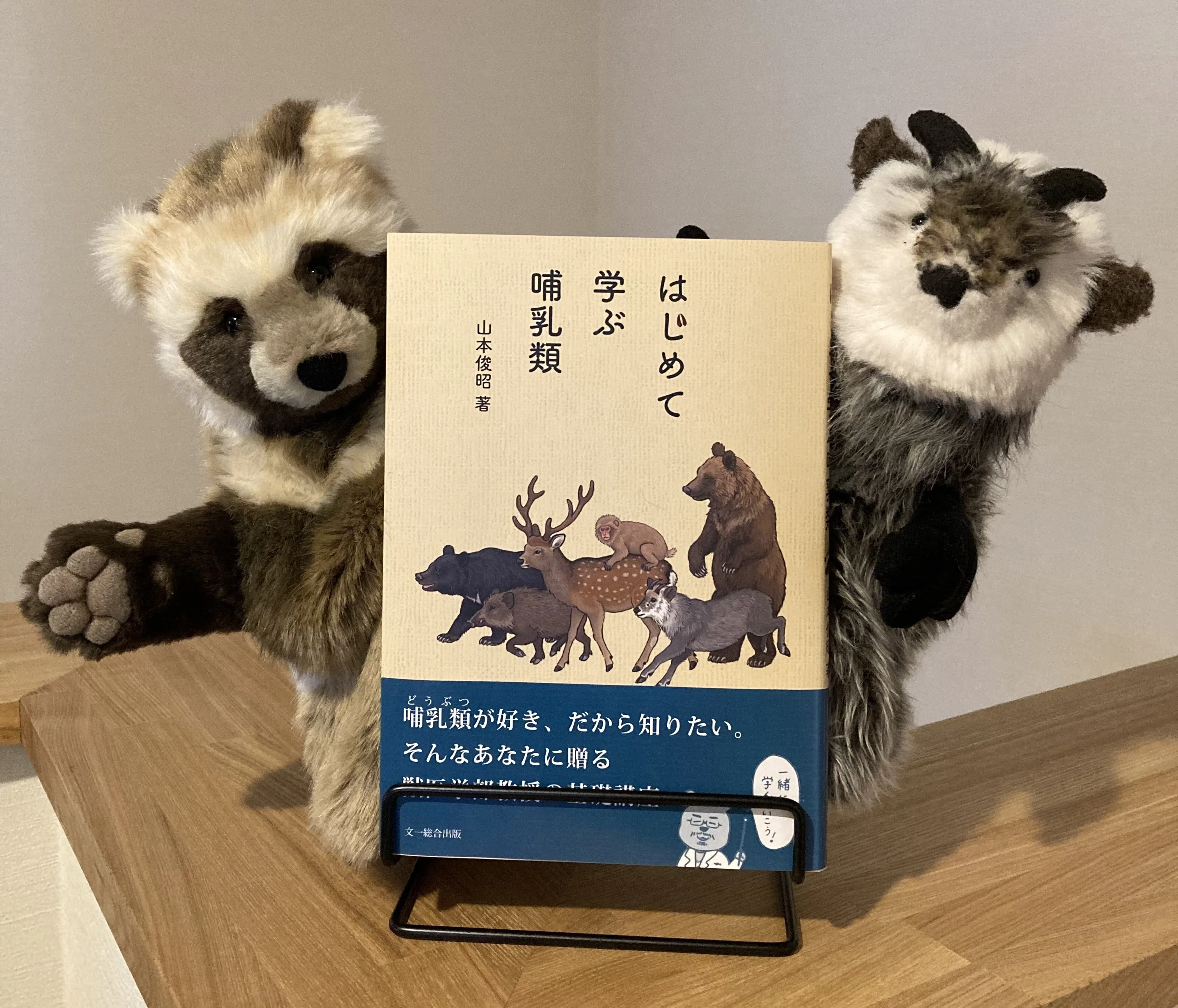 【中古】 日本の哺乳類 ☆【古書・昭和19年・2,000部限定】日本哺乳動物史（K_0990） 【公式通販】