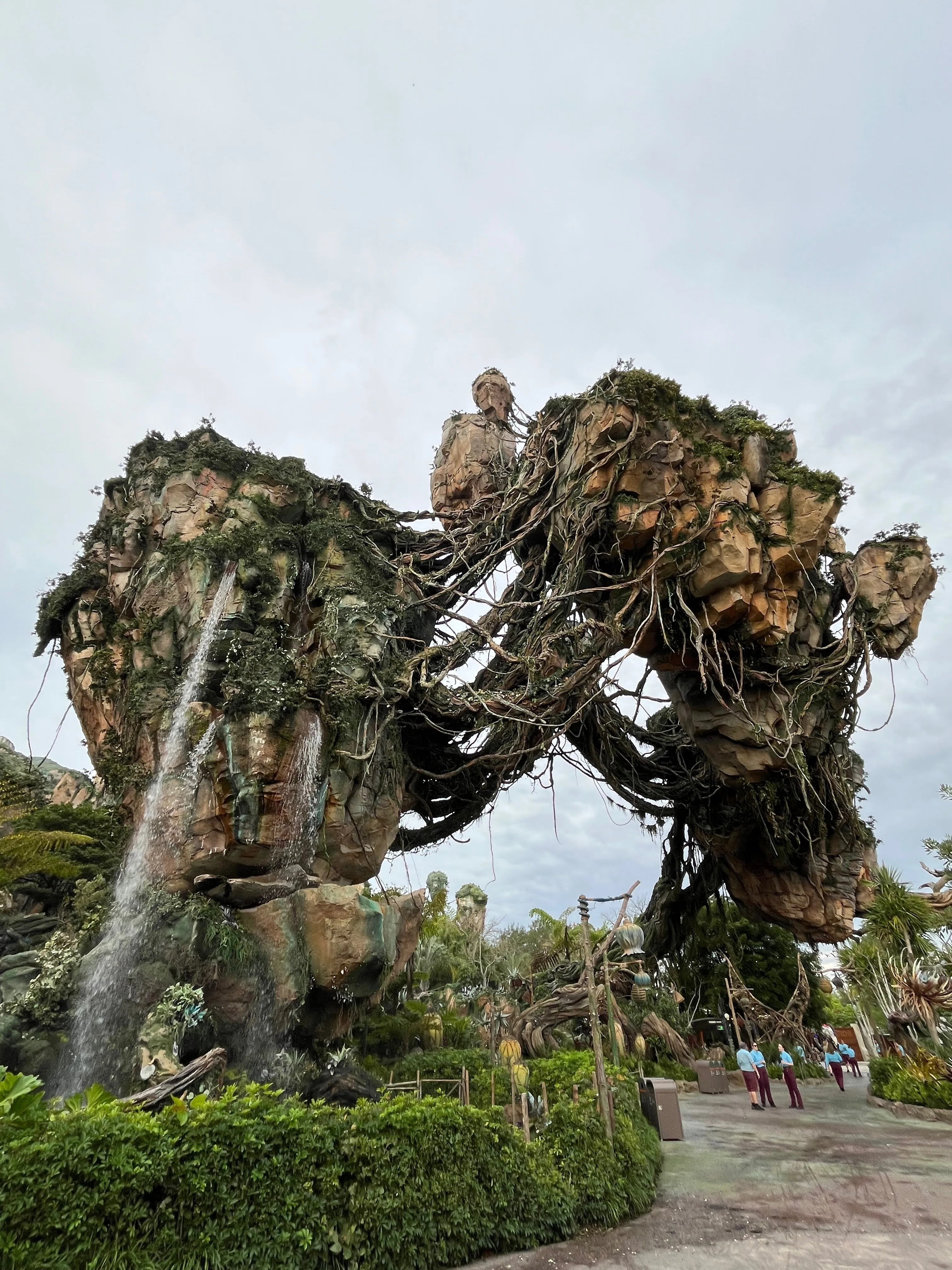 wdw旅行記 アニマルキングダム｜雪瀬こう