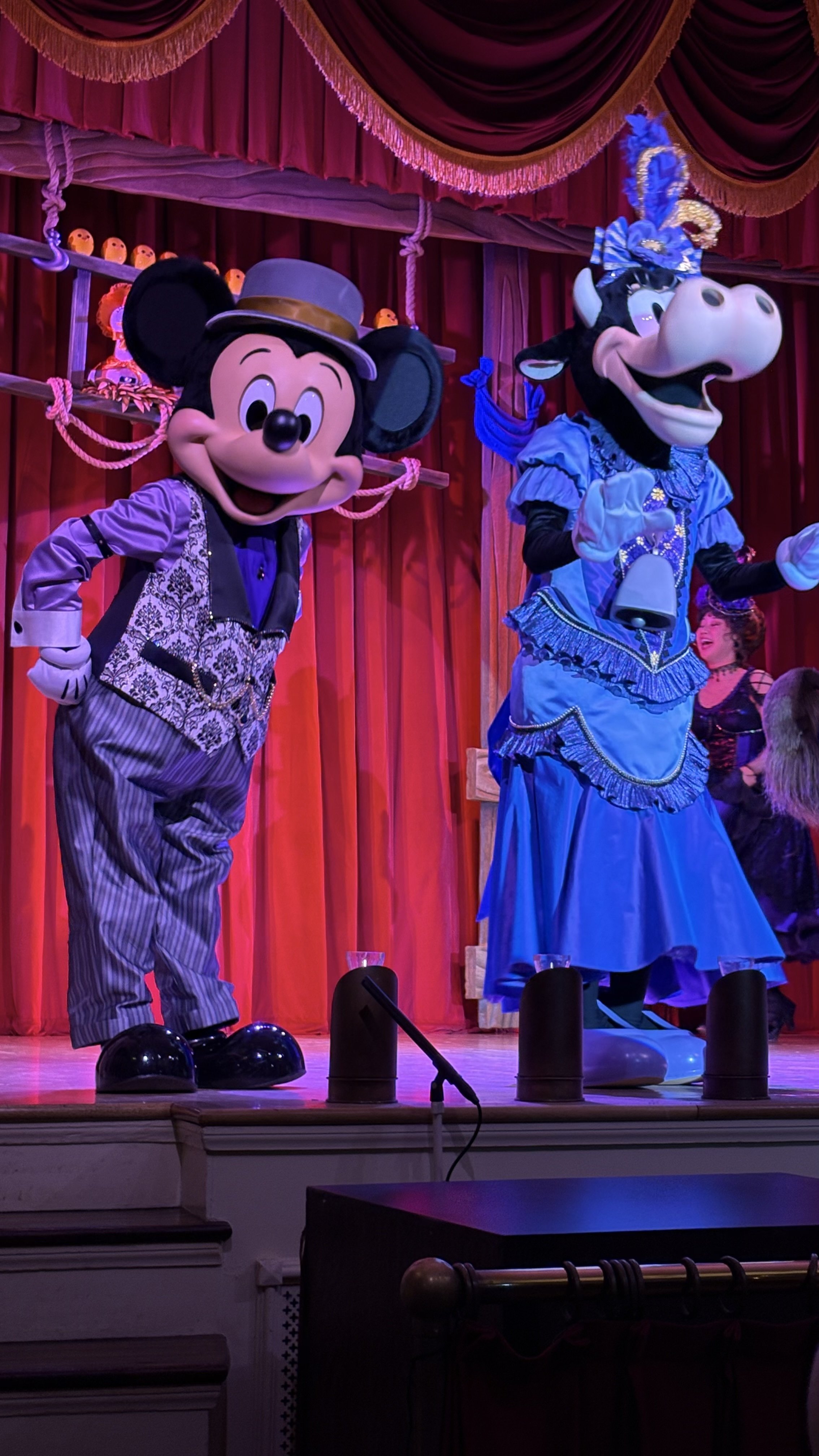 ディズニー3泊4日プランの記録:3日目 ディズニーランド（&ミラコスタ