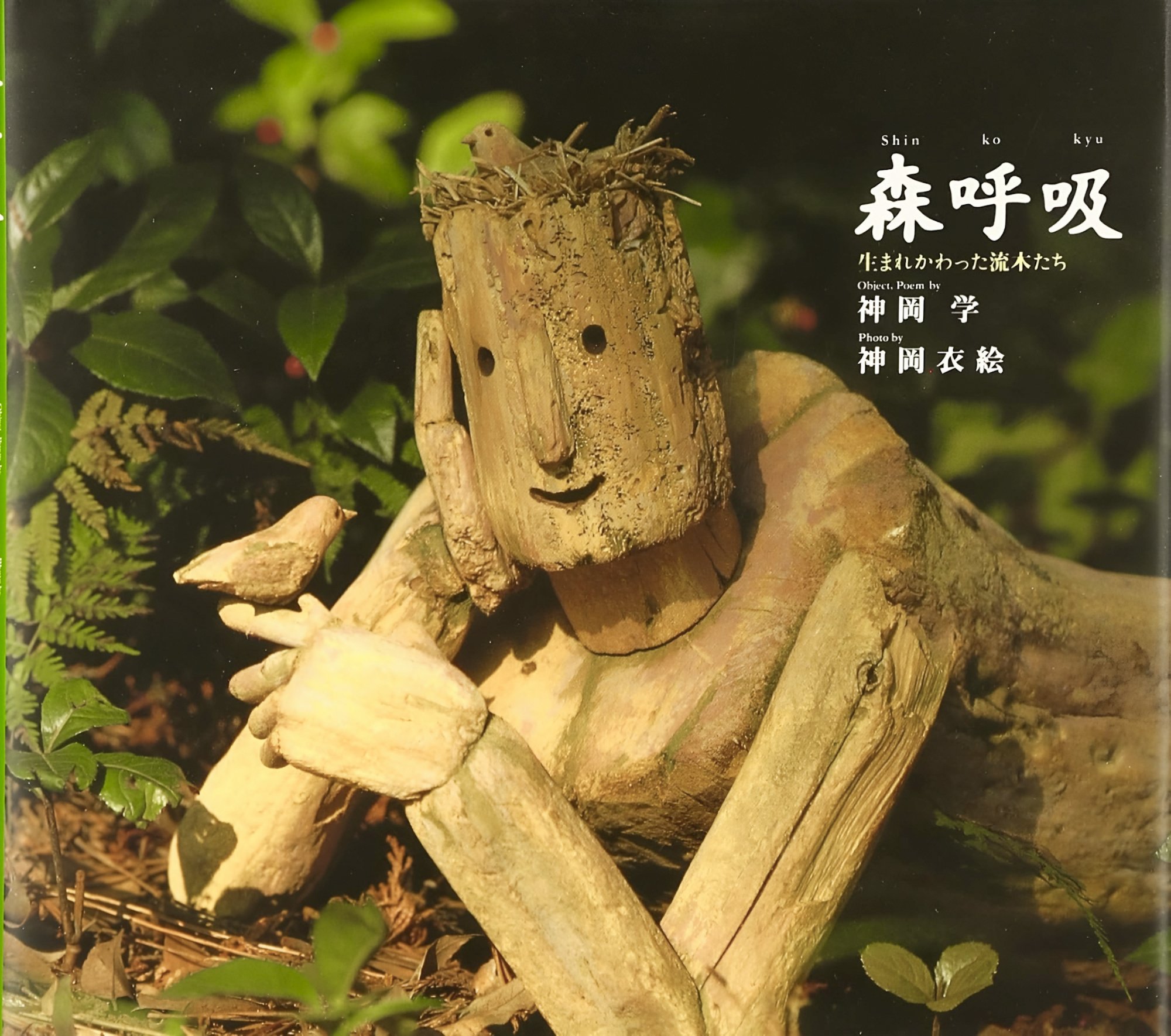 専用 ソウルさんご相談ページ 流木 周南】木のおもちゃ300種で木育キャラバン 27、28日・ゼオンアリーナ周南