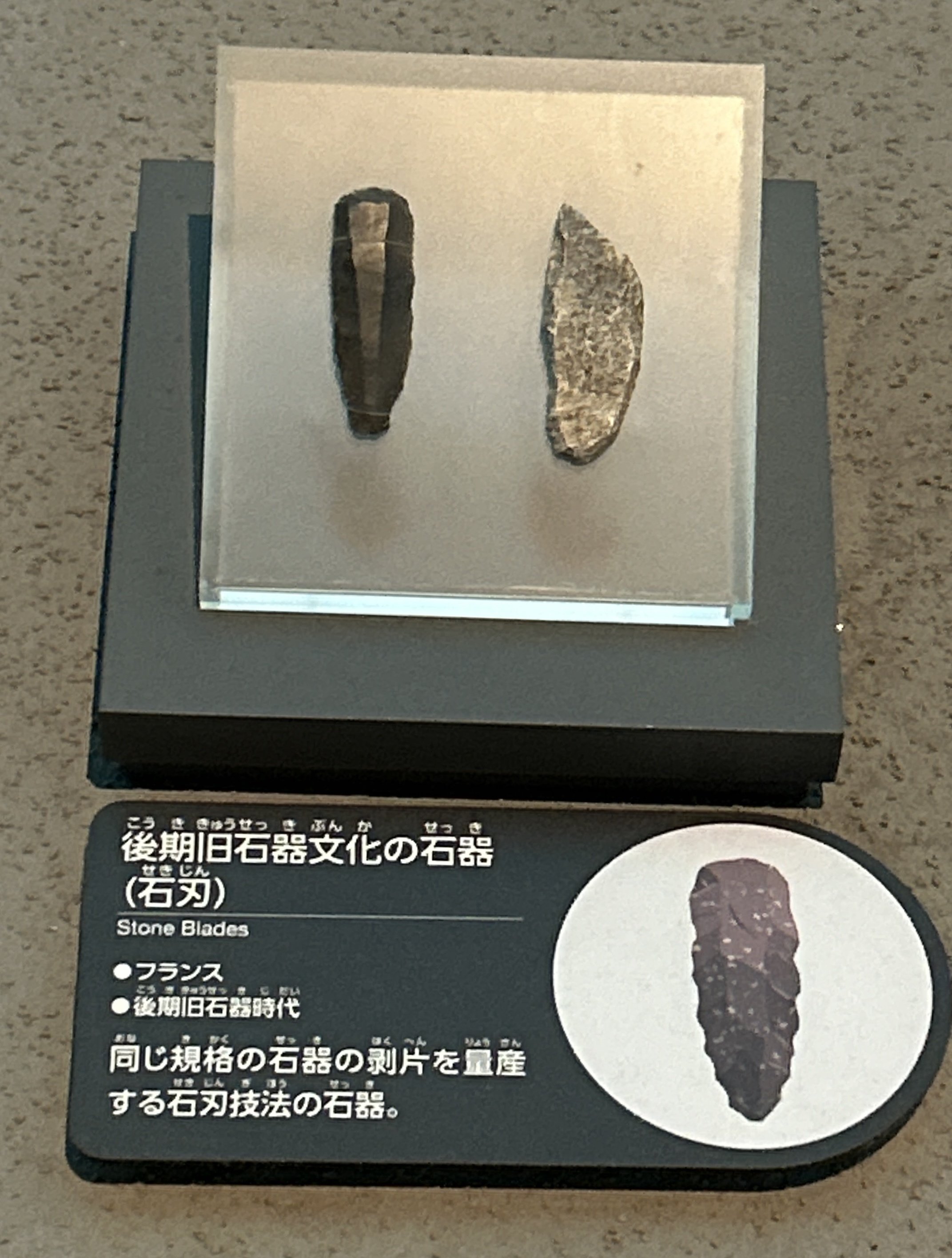 縄文　石器 石器って美しいなあ！縄文時代の人の思考や人間性を考えてみたくなって