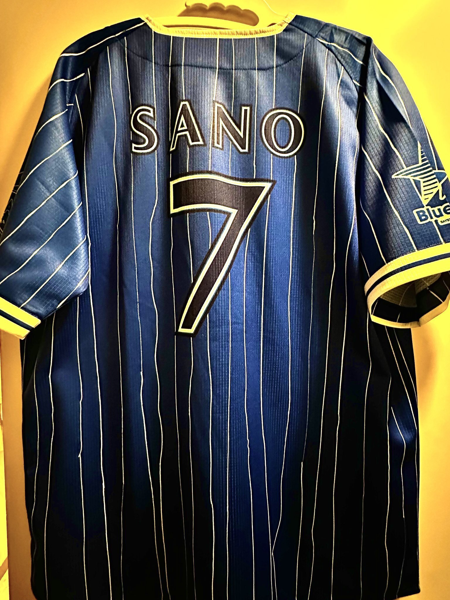私家版・プロ野球ユニフォーム史 2022-2024 Vol.9 横浜DeNA 私家版・プロ野球ユニフォーム史 2022-2024 Vol.9 横浜DeNA