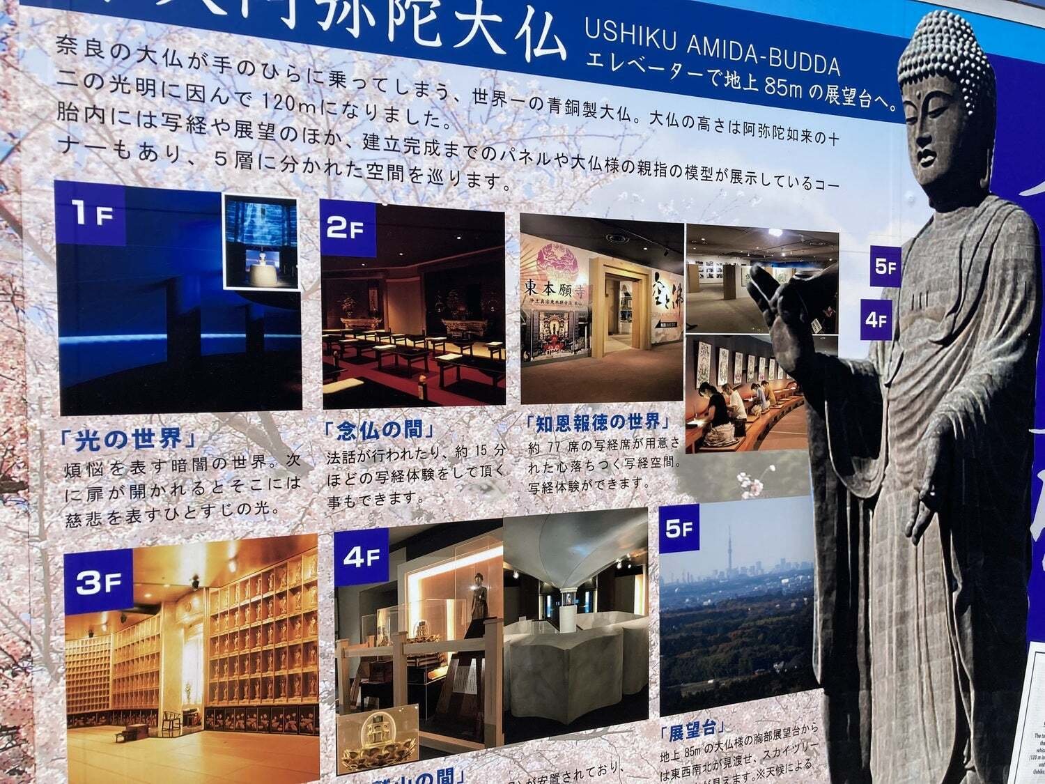 わたしは、だれでしょう！？｜tora