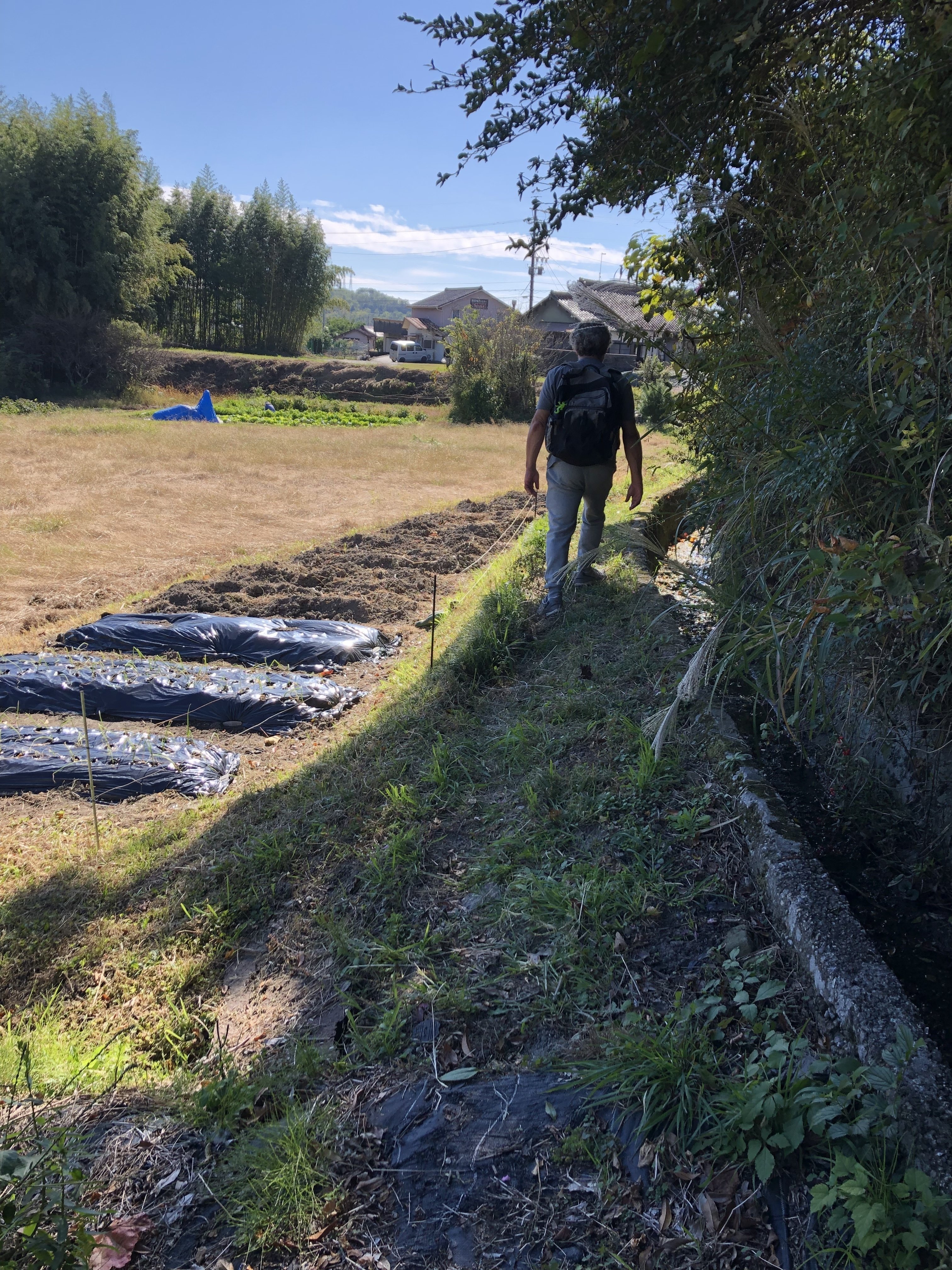 中島卓　灰釉 花器　飛鳥窯 秋の赤津窯の里巡り」で出会った器｜うじかぽ