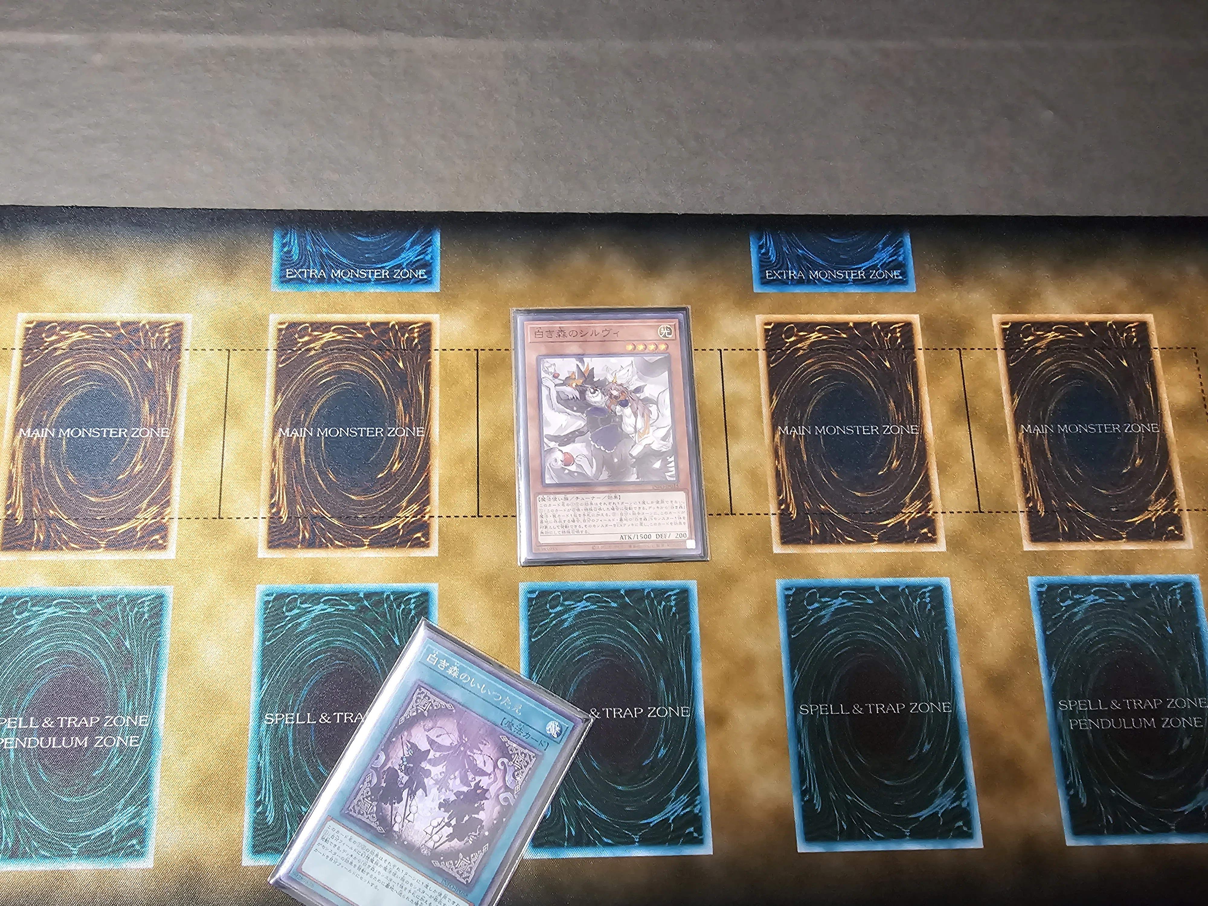 遊戯王 シルヴィ 遊戯王 白き森のシルヴィ アジア版 中国語簡体字