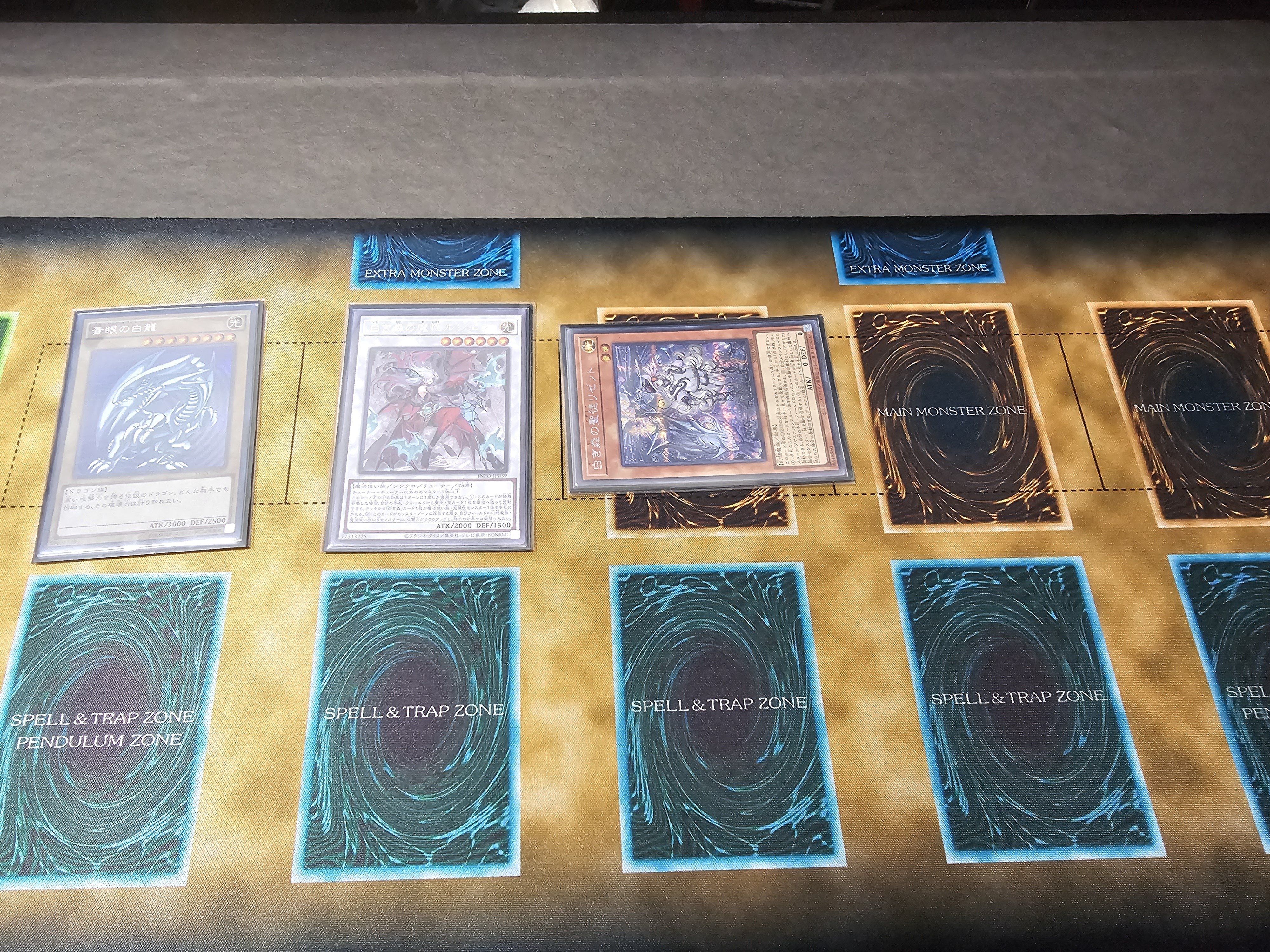 遊戯王OCG】白き森のシルヴィ1枚からランク8を立てていく｜ゆの