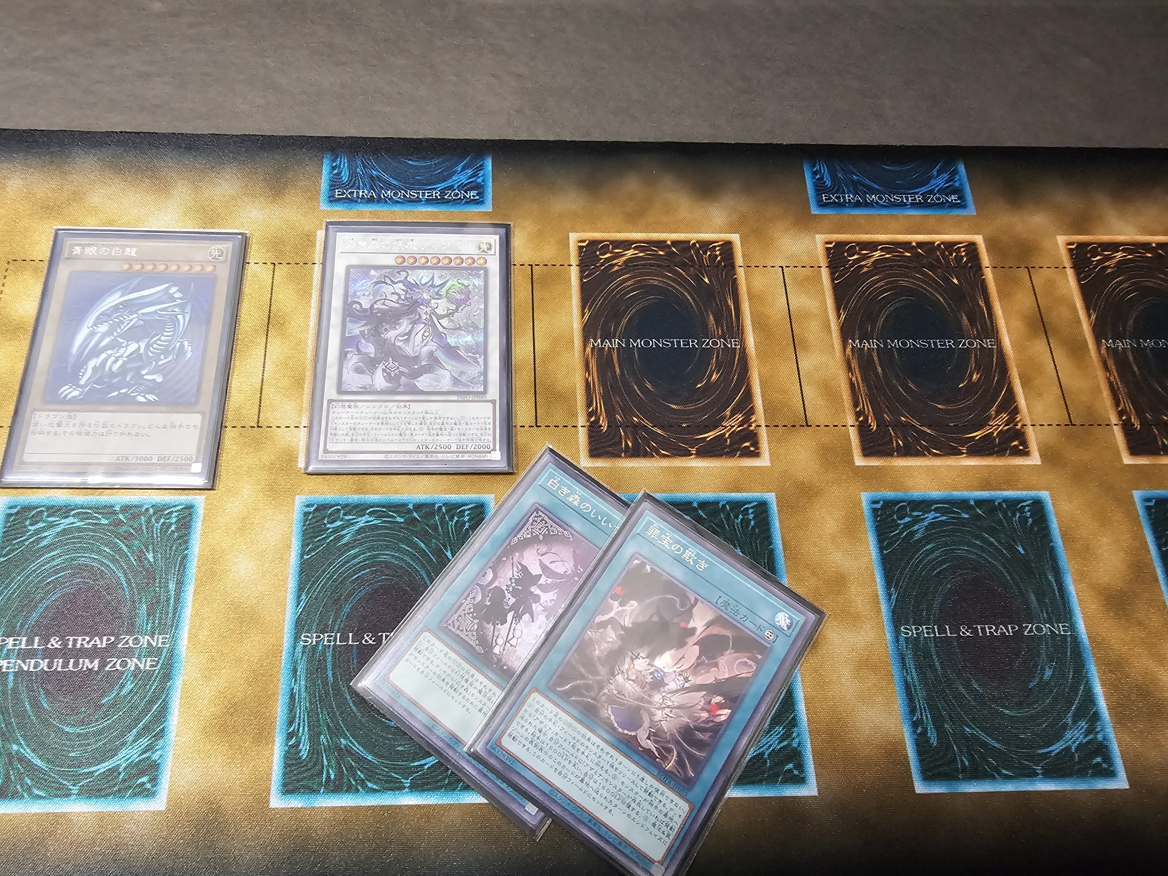 遊戯王OCG】白き森のシルヴィ1枚からランク8を立てていく｜ゆの