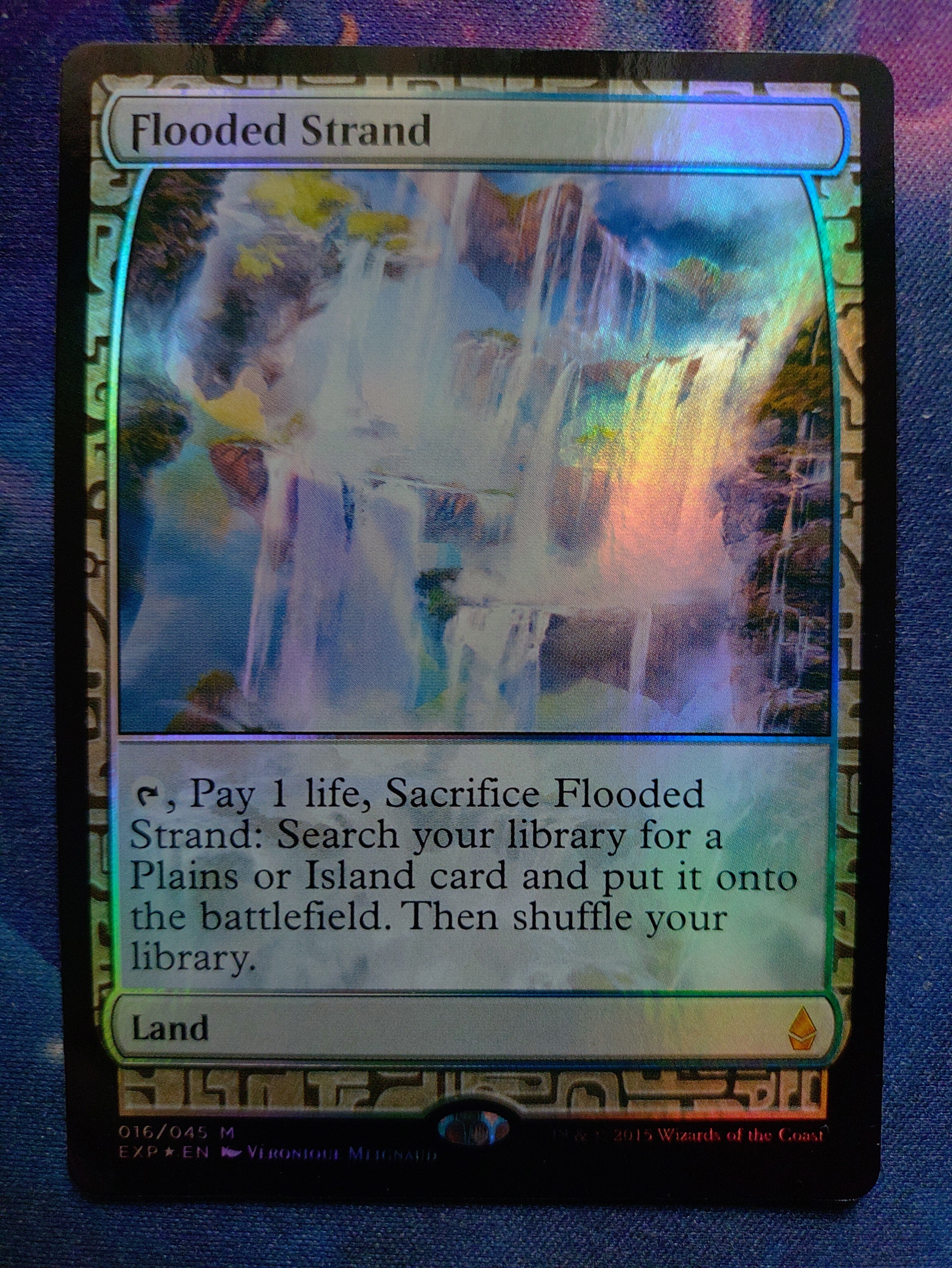 MTGのコレクション色々|添削 MTGのコレクション色々|添削