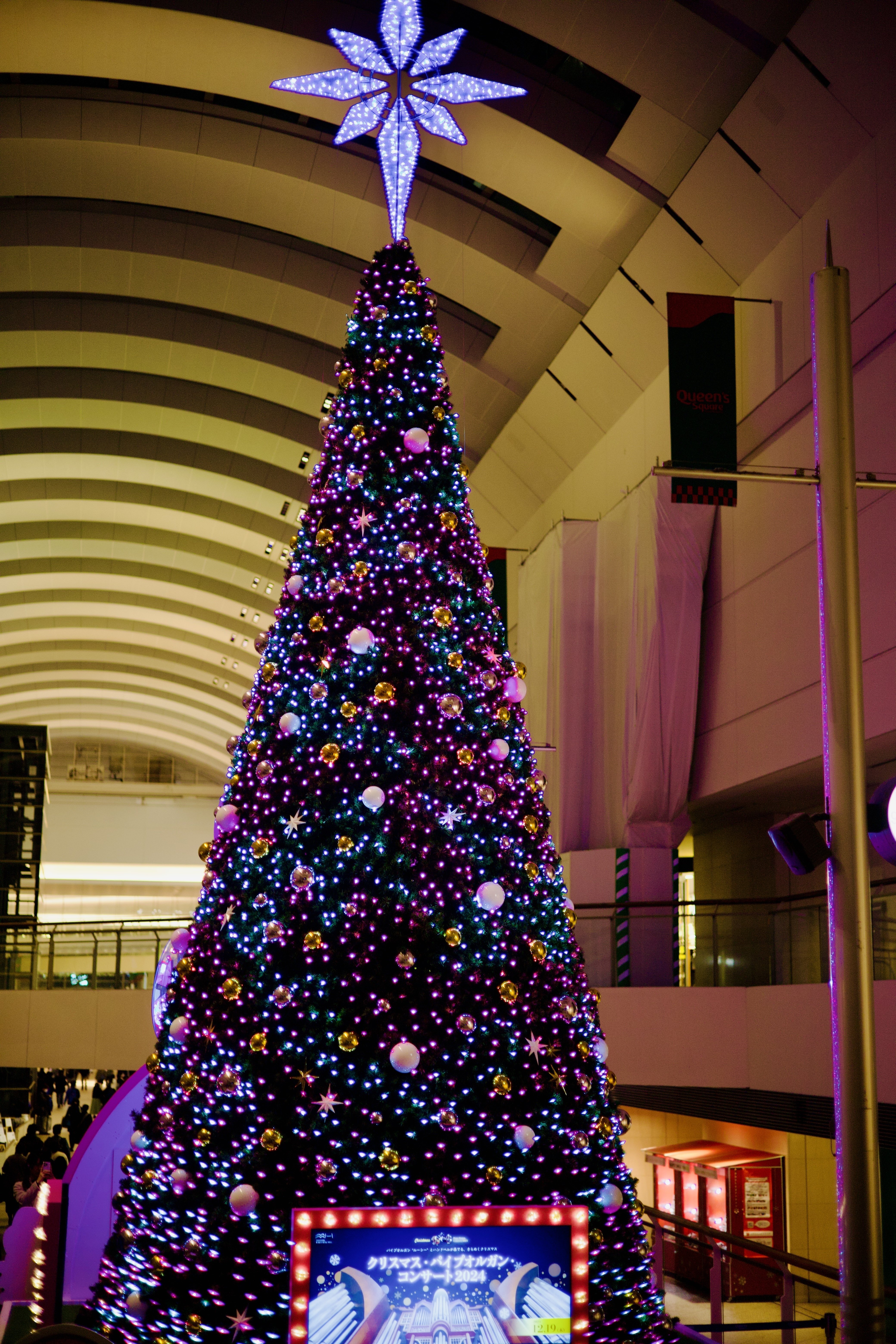 フォトアルバム】クリスマスツリー in 横浜みなとみらい 2024