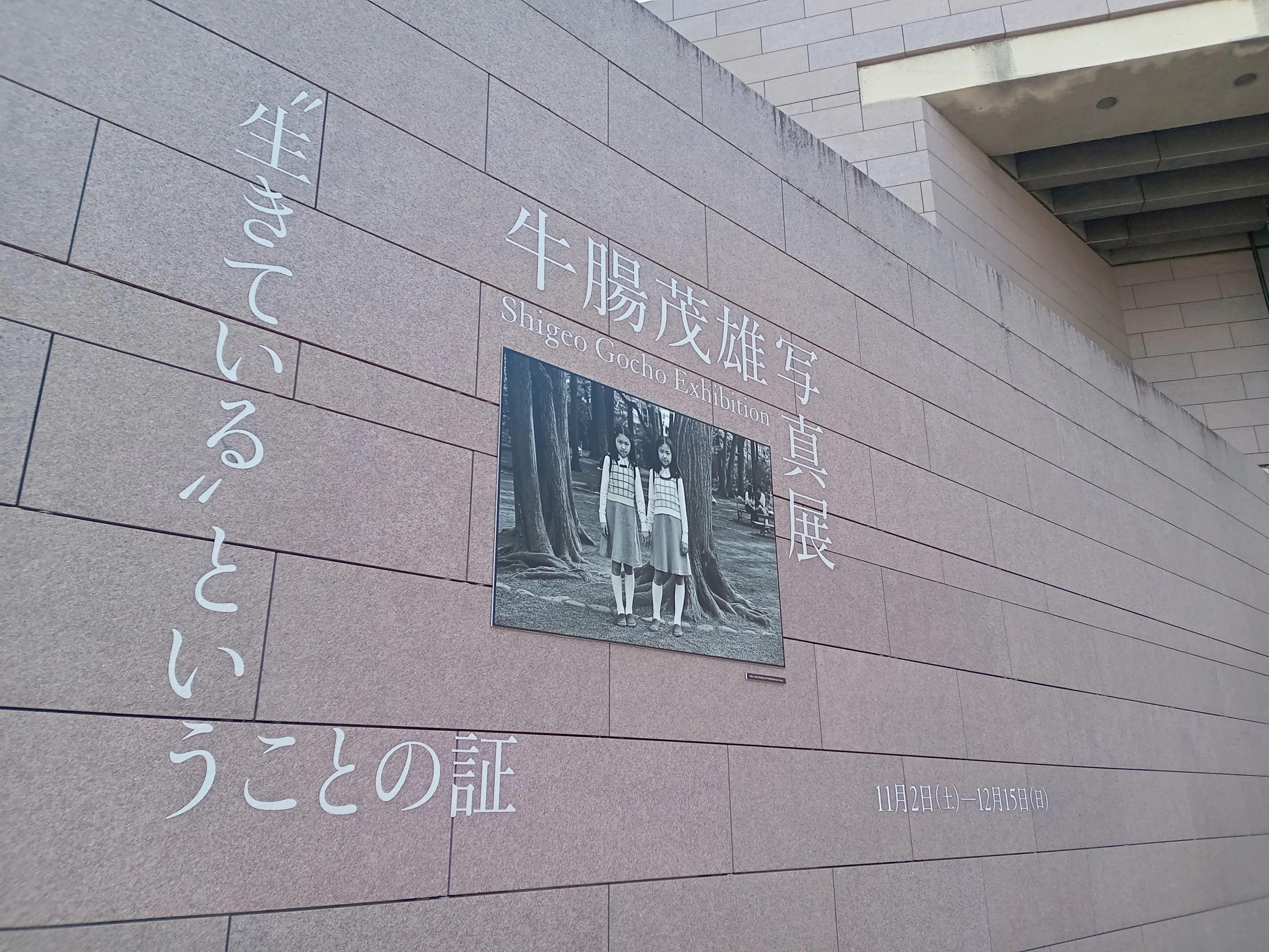 いわき市立美術館「牛腸茂雄写真展 “生きている”ということの証