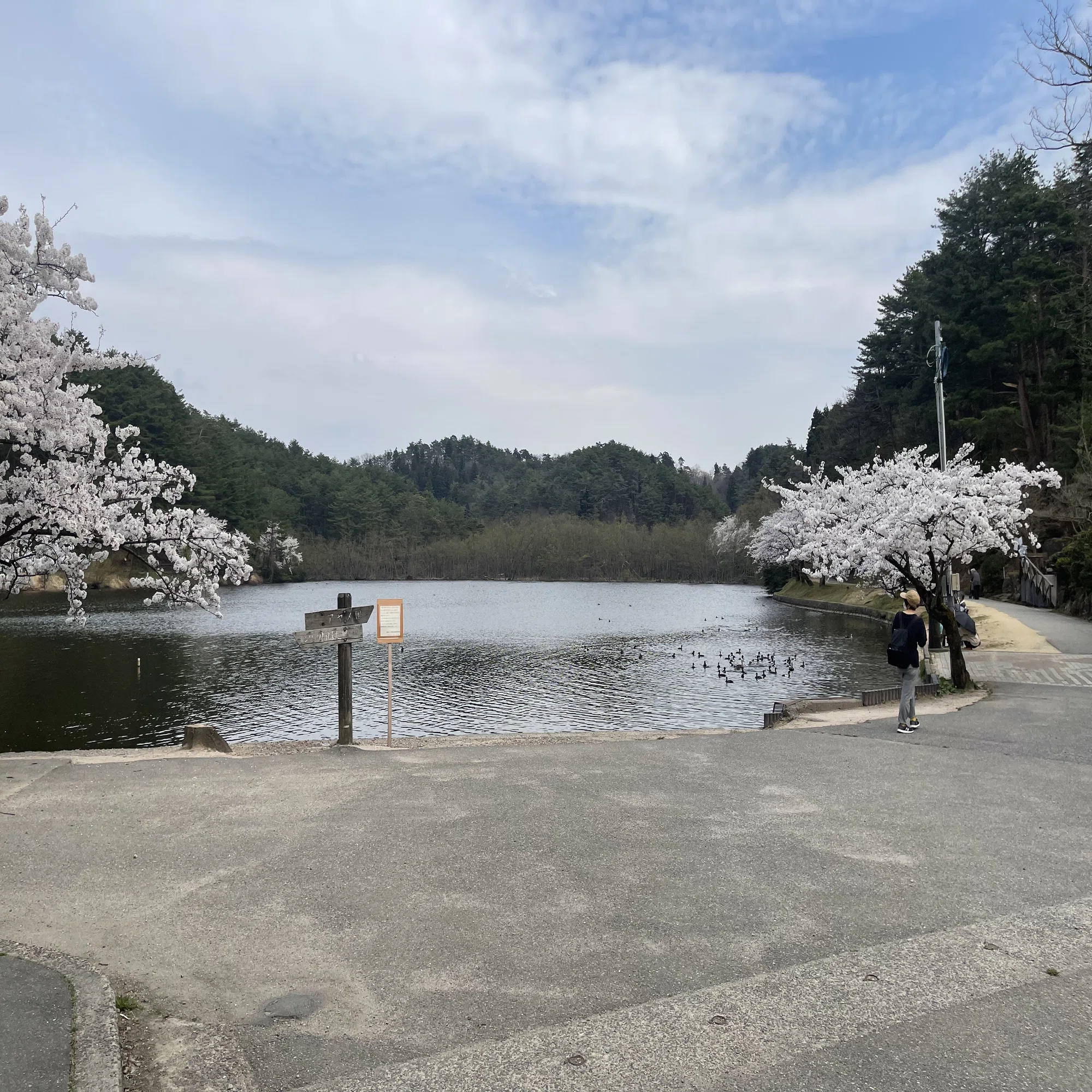 五十公 野 公園