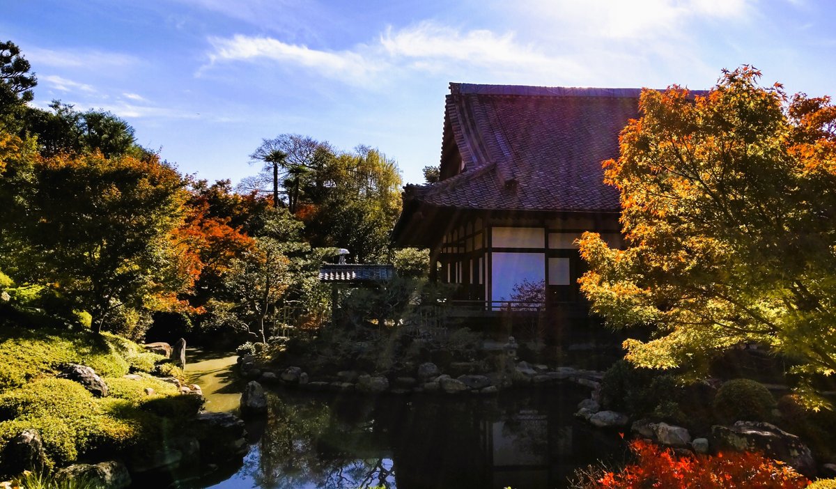 両足院の庭、紅葉