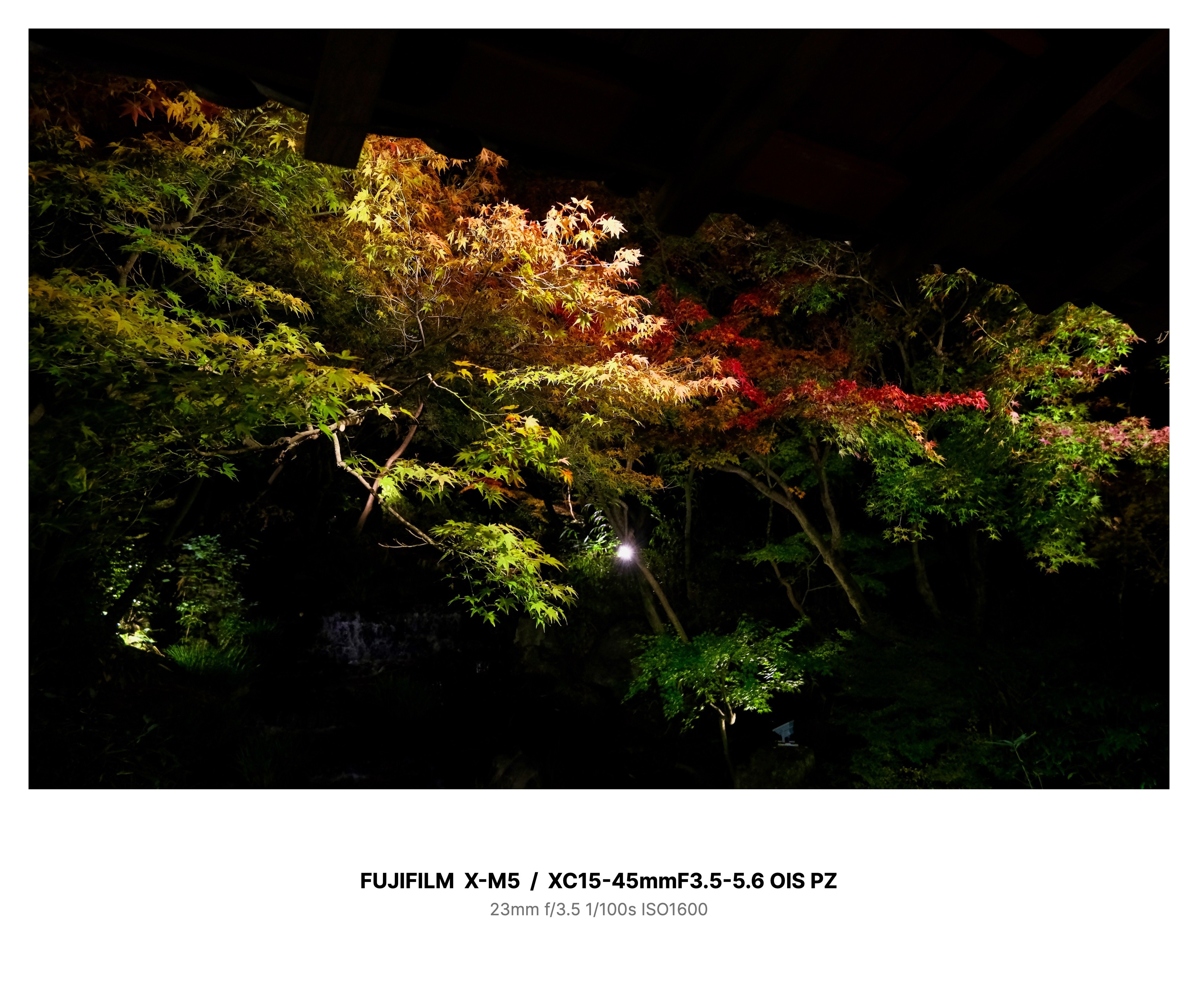 FUJIFILM X-M5 + XC15-45mm F3.5-5.6 OIS PZ レビュー Vol.1 好古園に