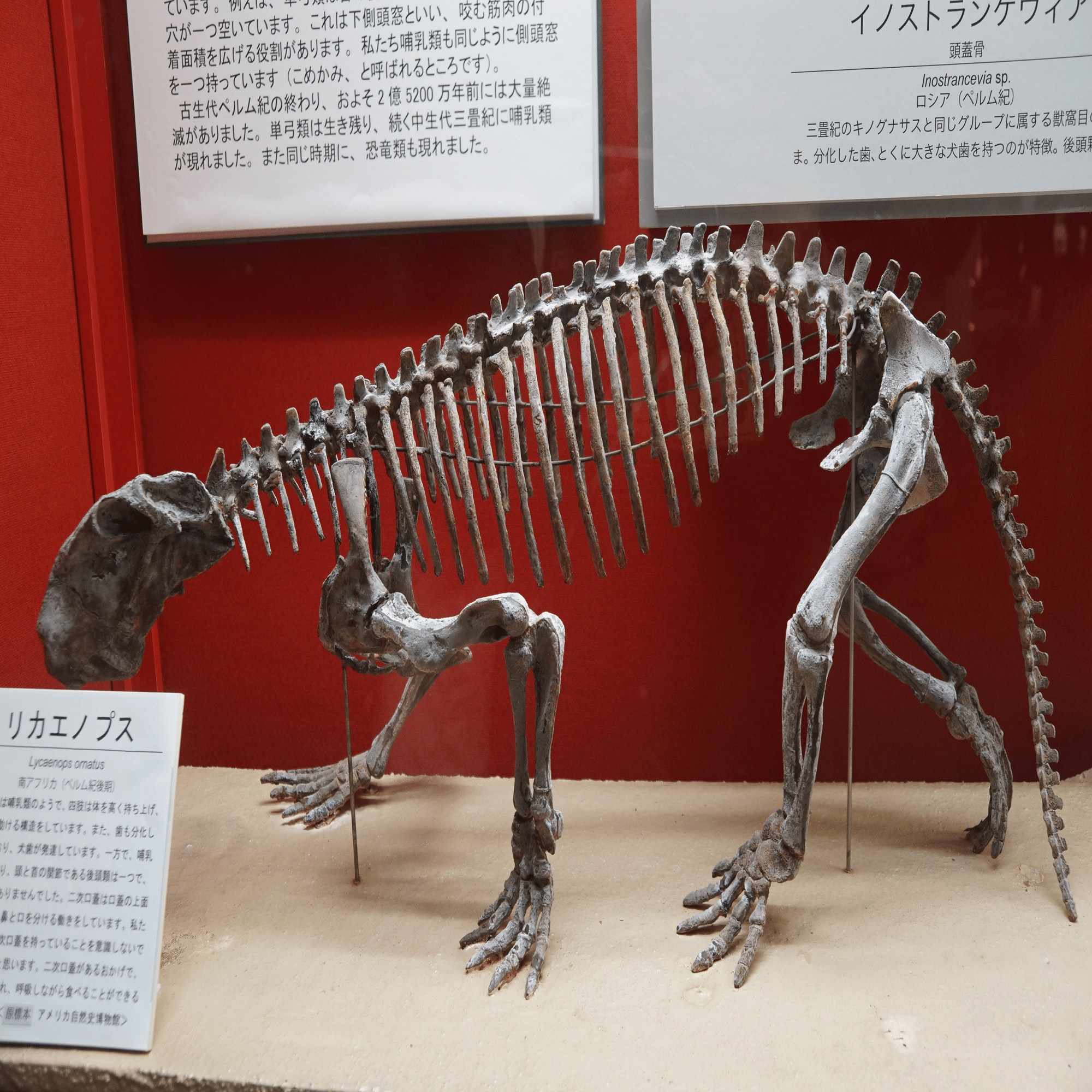 古生物飼育小説Lv100 第九十五話をサイトに掲載しました｜始祖鳥堂まふ