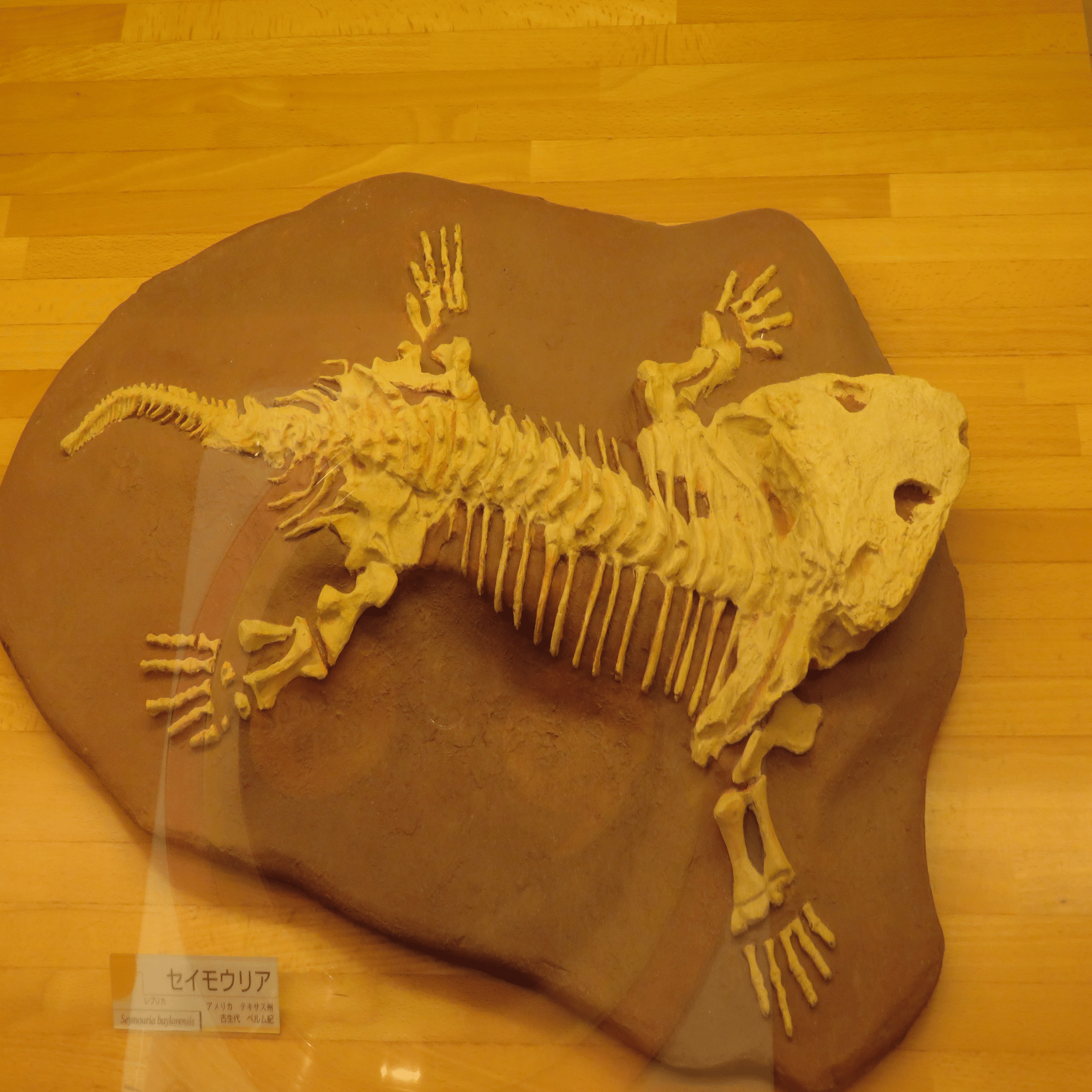 古生物飼育小説Lv100 第九十五話をサイトに掲載しました｜始祖鳥堂まふ