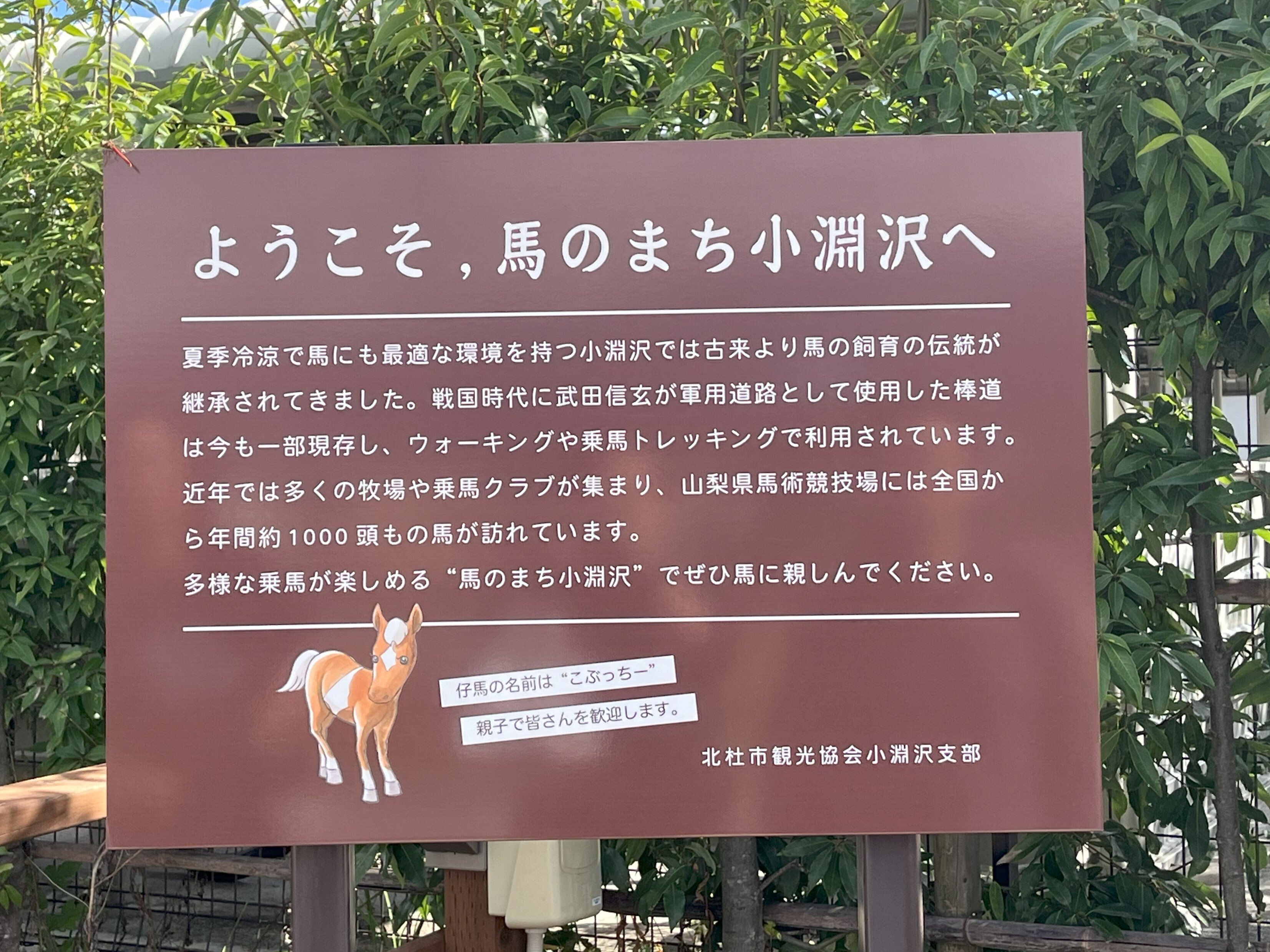 白州蒸留所に行ってきた話｜pru