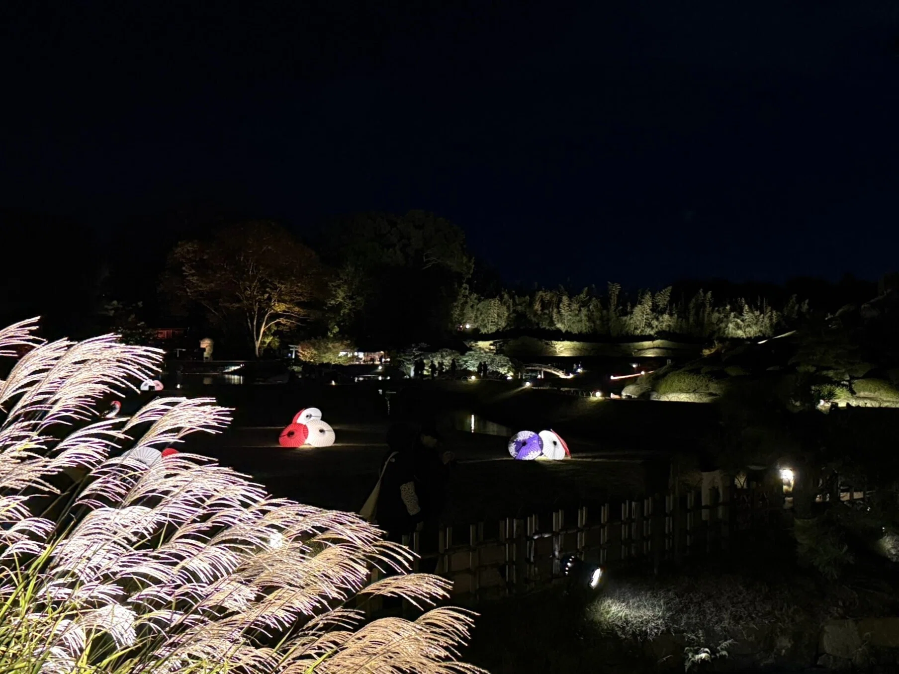512 晩秋・夜の岡山後楽園「幻想庭園」へ｜揺蕩う旅人・なお