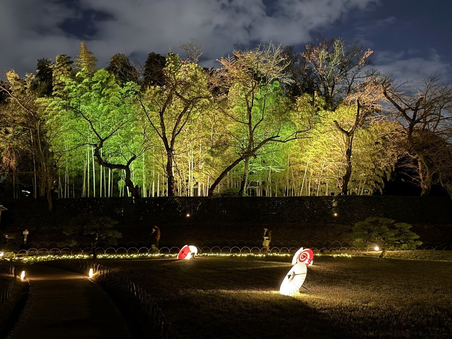512 晩秋・夜の岡山後楽園「幻想庭園」へ｜ミヤコカエデ（Miyako Kaede)