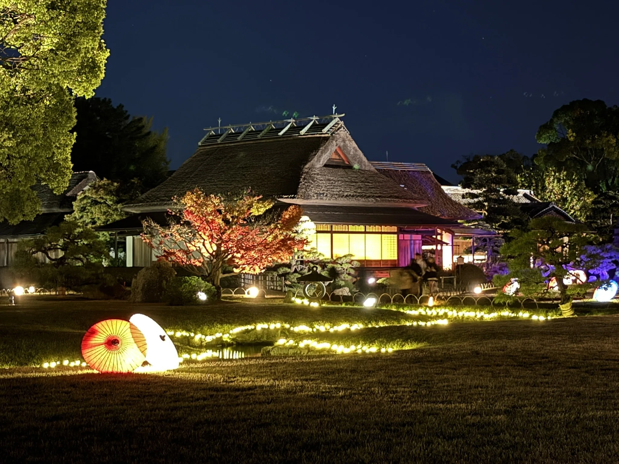 512 晩秋・夜の岡山後楽園「幻想庭園」へ｜揺蕩う旅人・なお
