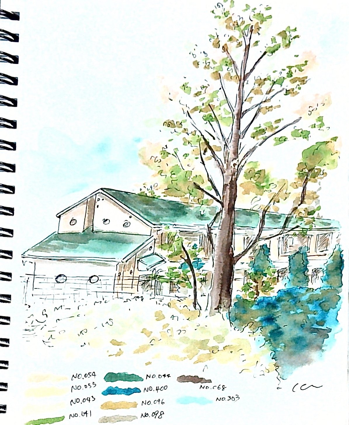 日常の中で見つけた自然たちをスケッチした【水彩画&ゆる解説動画