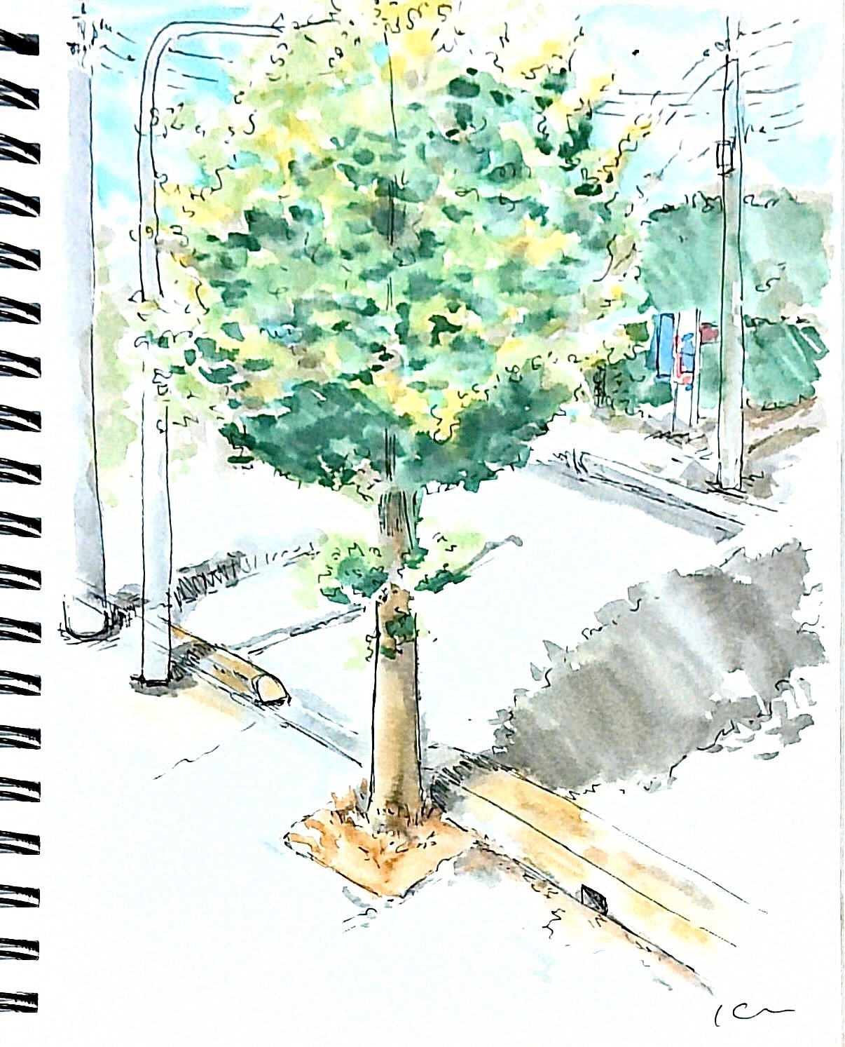 絵絵画水彩樹木木水彩画絵絵画水彩色鉛筆風景画プレゼント