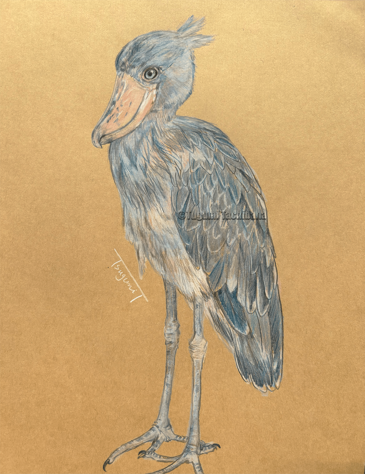 油絵　はち　小鳥さんのかくれんぼ　その１　かくれる鳥 油絵 はち様専用 小鳥さんのかくれんぼ その1 かくれる鳥