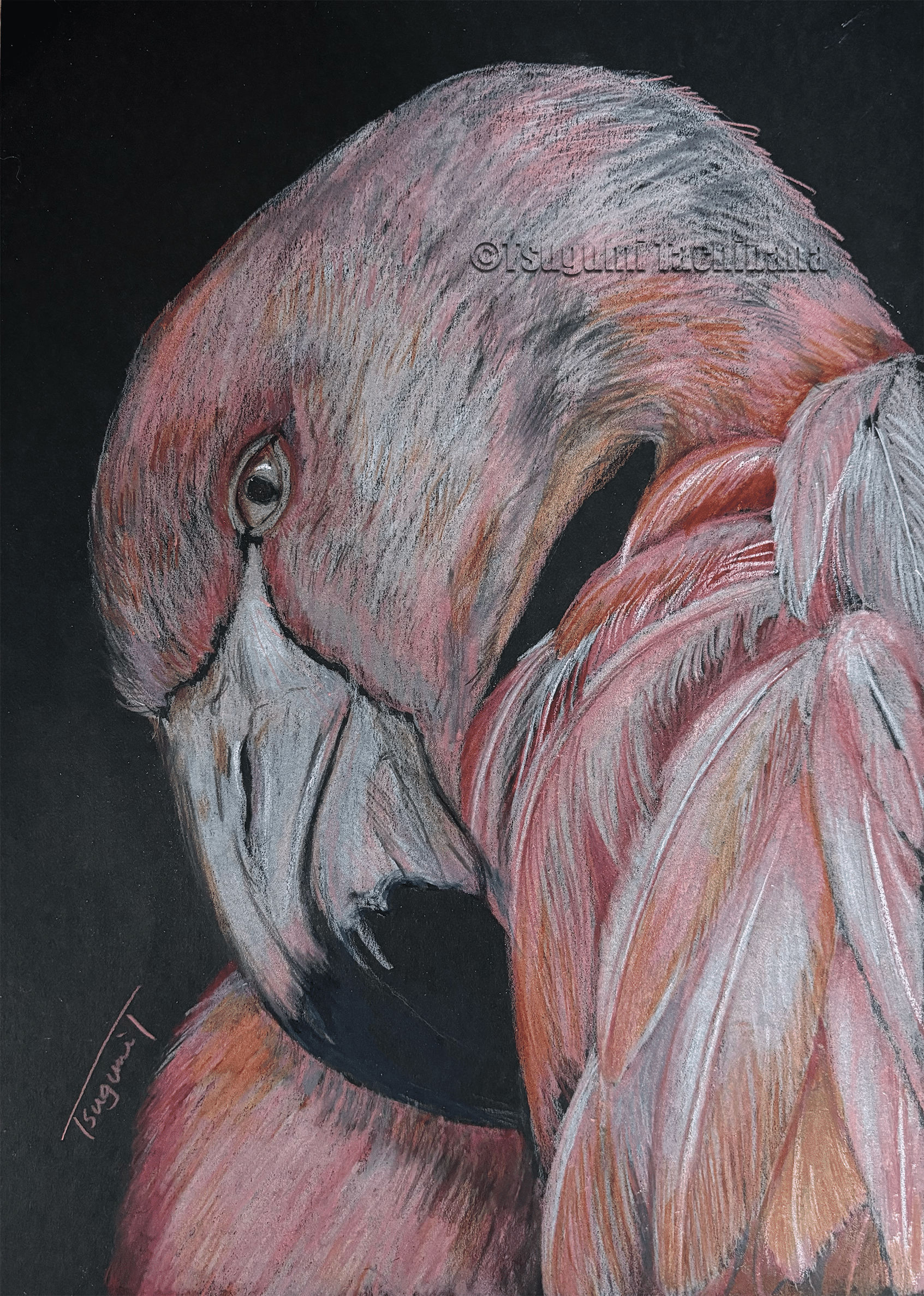 油絵　専用　変わった鳥とわんこの出会い　つばめさんも一緒　他計2枚セット 油絵 専用 変わった鳥とわんこの出会い つばめさんも一緒 他計2