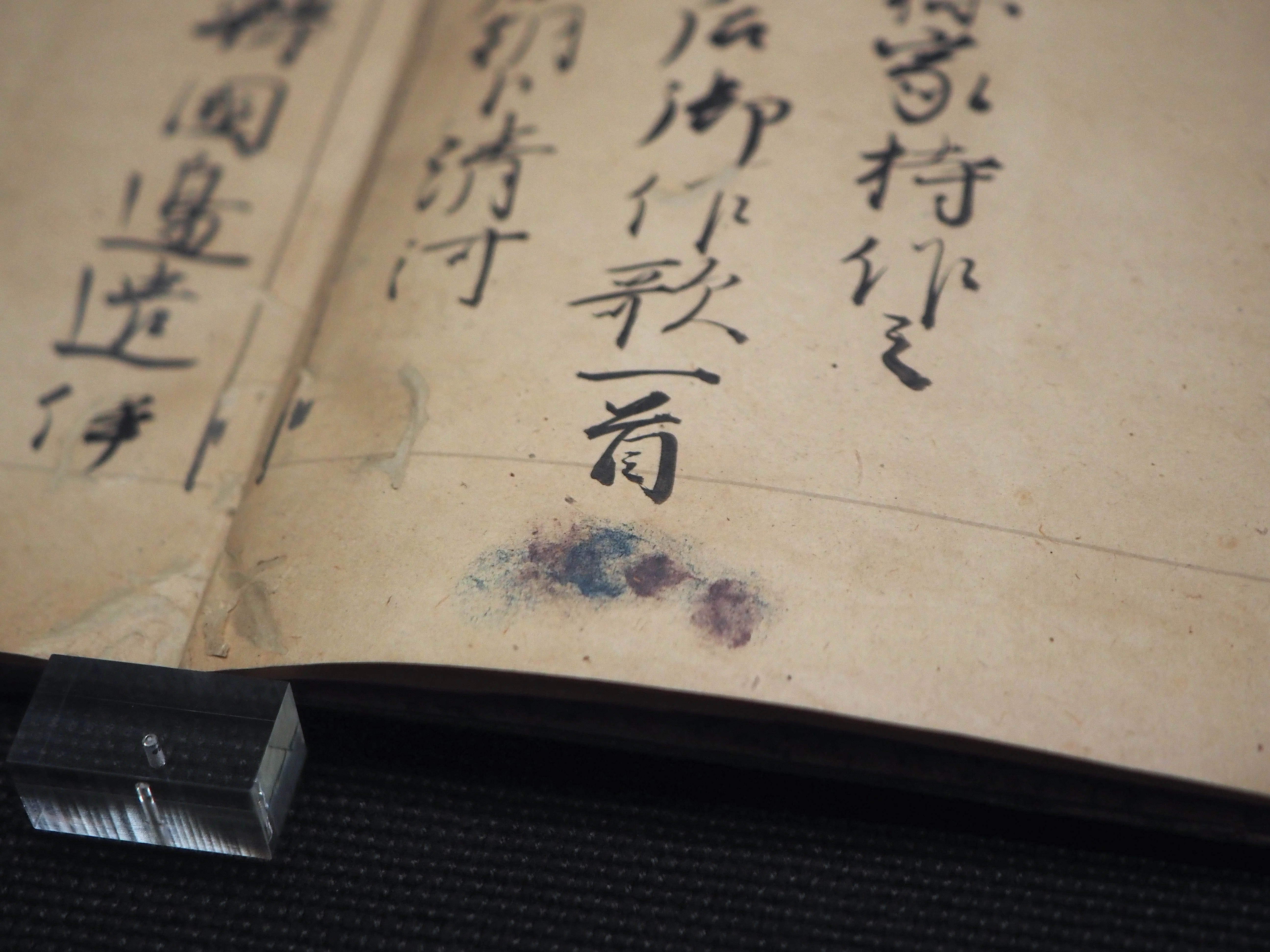 万の言の葉を集めた最古の歌集《万葉集》…むらさきのにほへるいもを