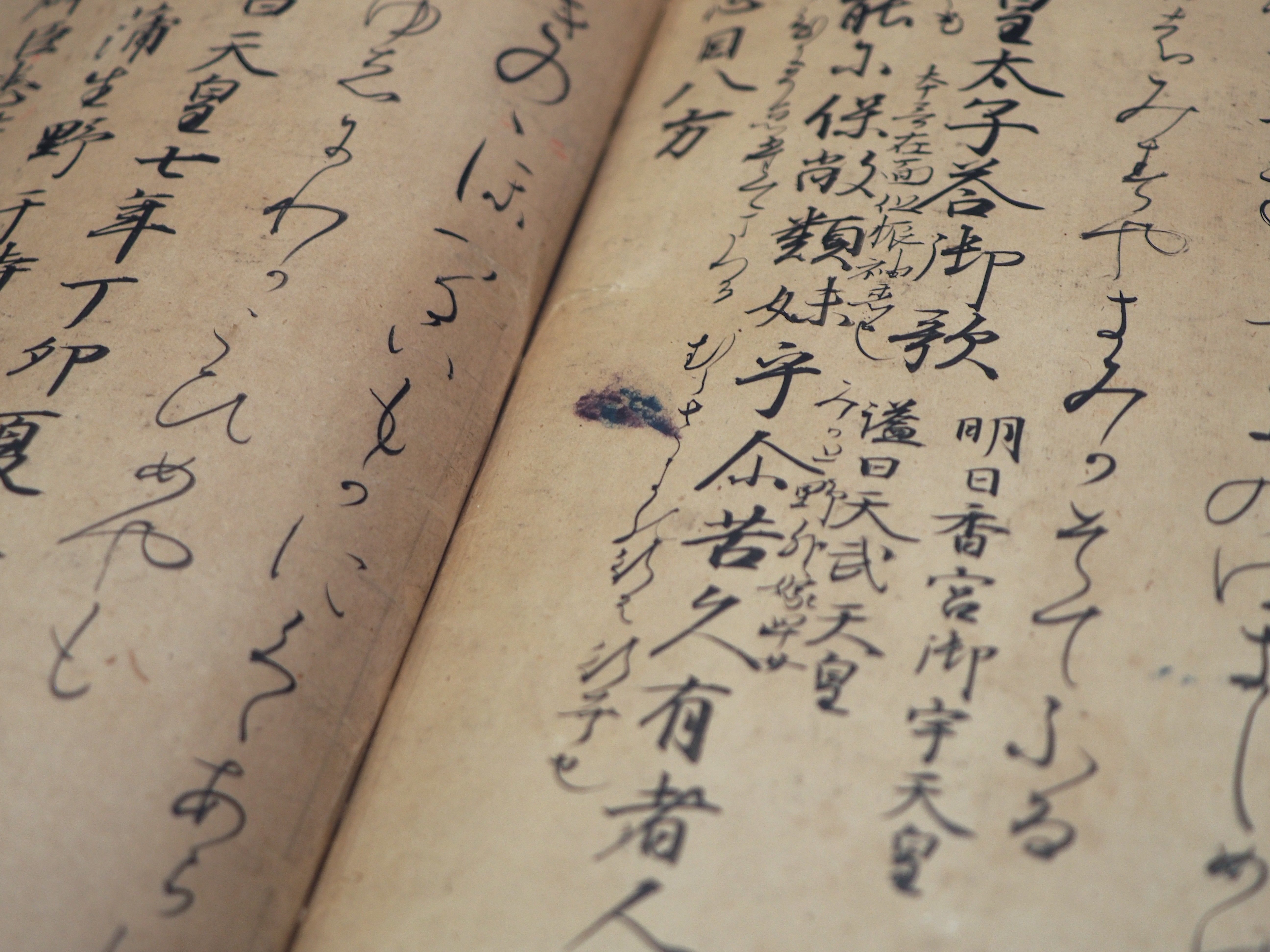 万の言の葉を集めた最古の歌集《万葉集》…むらさきのにほへるい