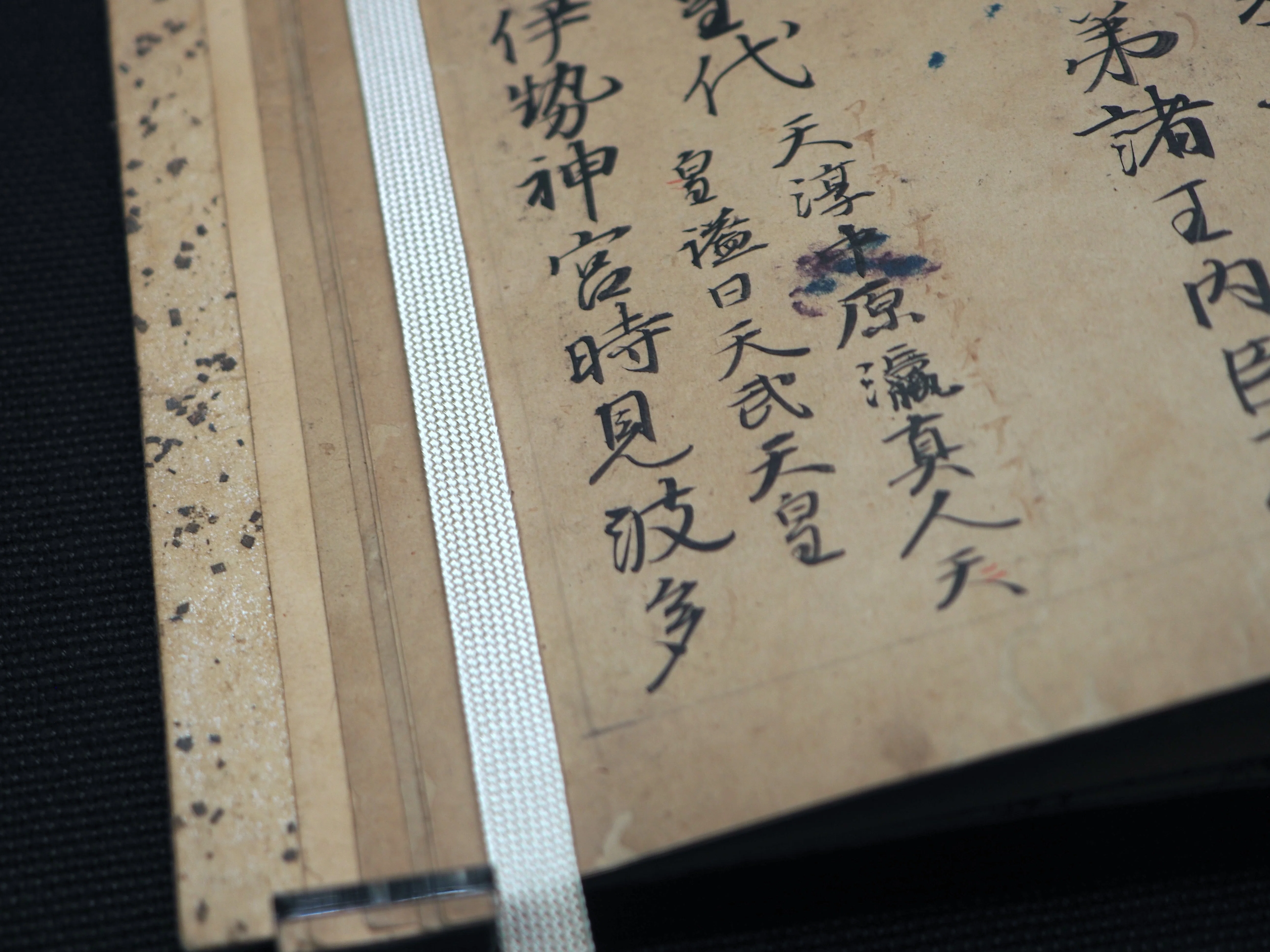 万の言の葉を集めた最古の歌集《万葉集》…むらさきのにほへるいもを