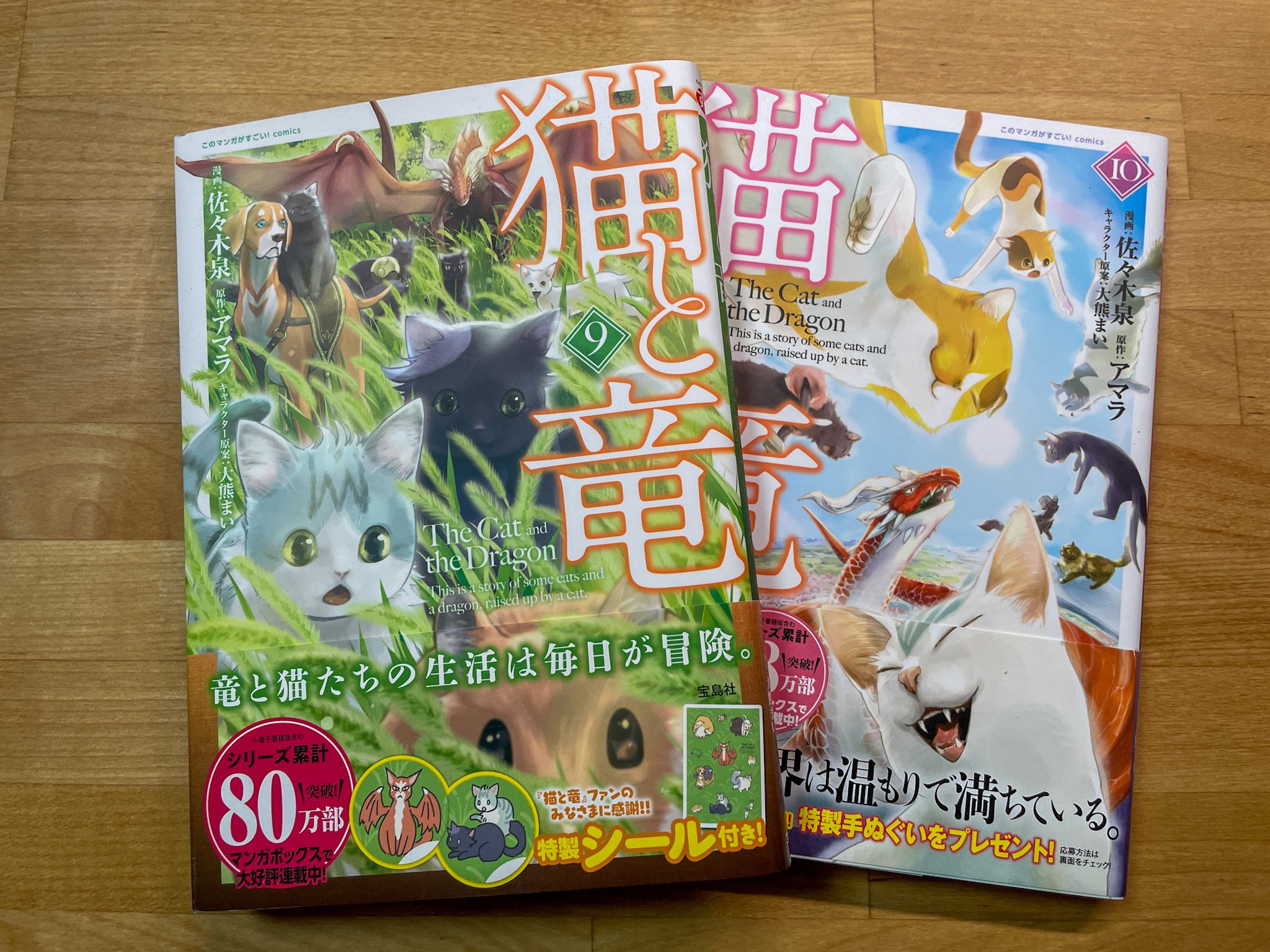 猫と竜 9巻のみ※9月末で削除予定 猫と竜 (10) | 佐々木泉, アマラ