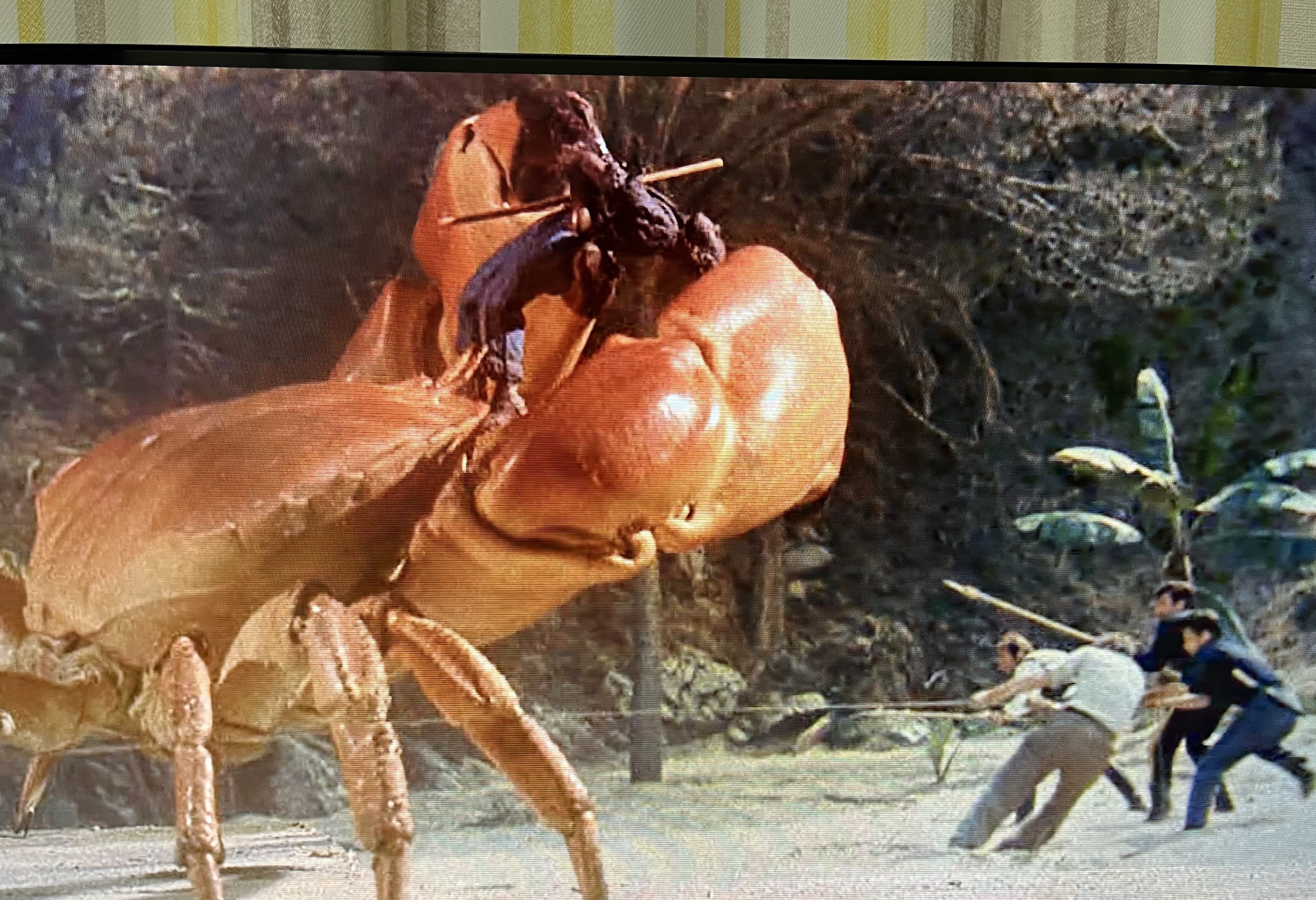希少・美品‼️SF巨大生物の島('61米) 巨大生物恐怖症の人は見ちゃいけない映画『SF巨大生物の島』—100年を