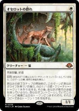 ボロスエネルギー　サイドカード多数 レガシー版ボロスエネルギーの今（霊気走破環境）｜philo