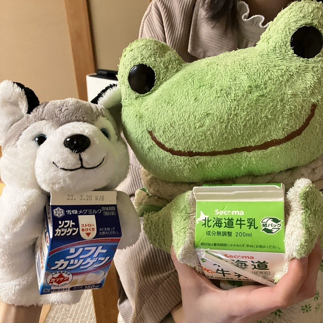 同梱依頼品】かえるのピクルス イベント限定 ビーンドール タグ