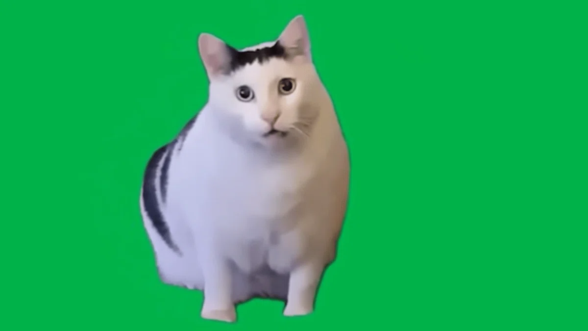 Huh?