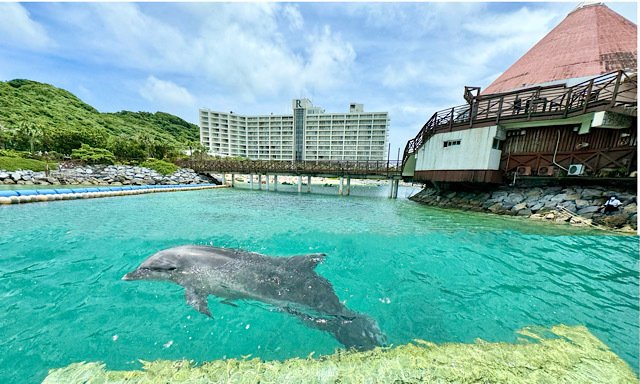 イルカと遊べ、エイと泳げるホテル「ルネッサンスリゾートオキナワ