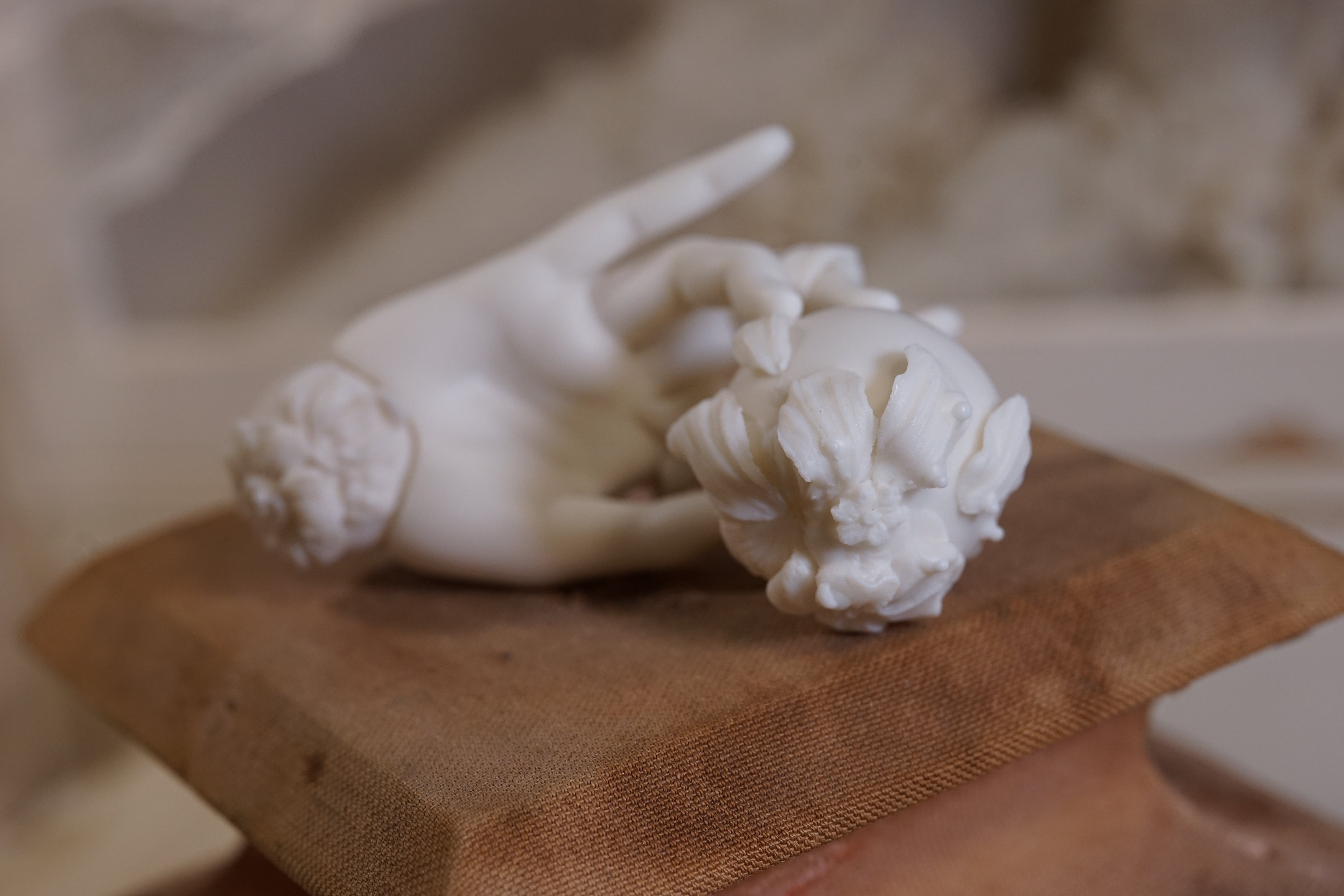 中川多理展「老天使の肋骨 The Costa of the Ancient Angel」⑥骨の葩