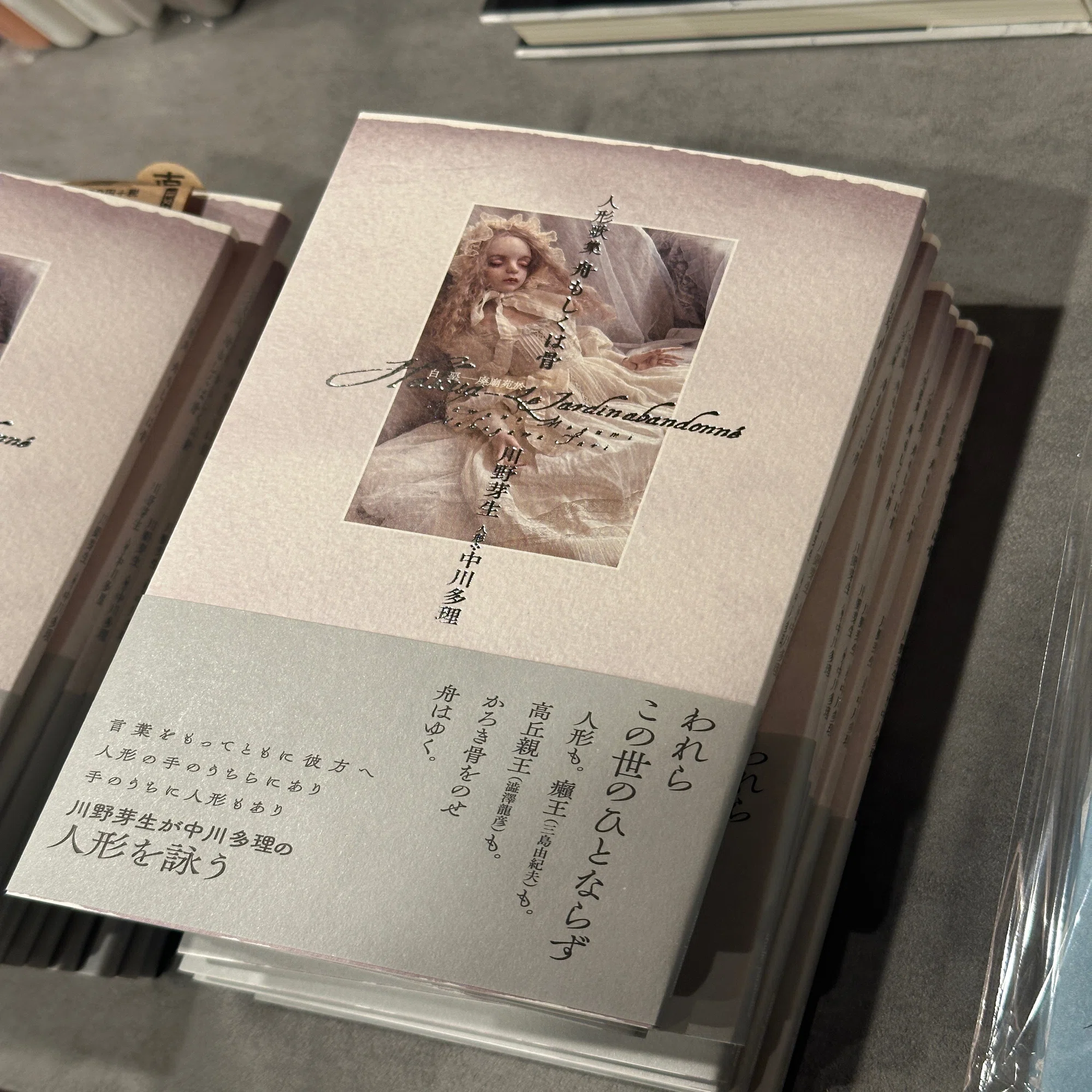 中川多理展「老天使の肋骨 The Costa of the Ancient Angel」⑦人形 