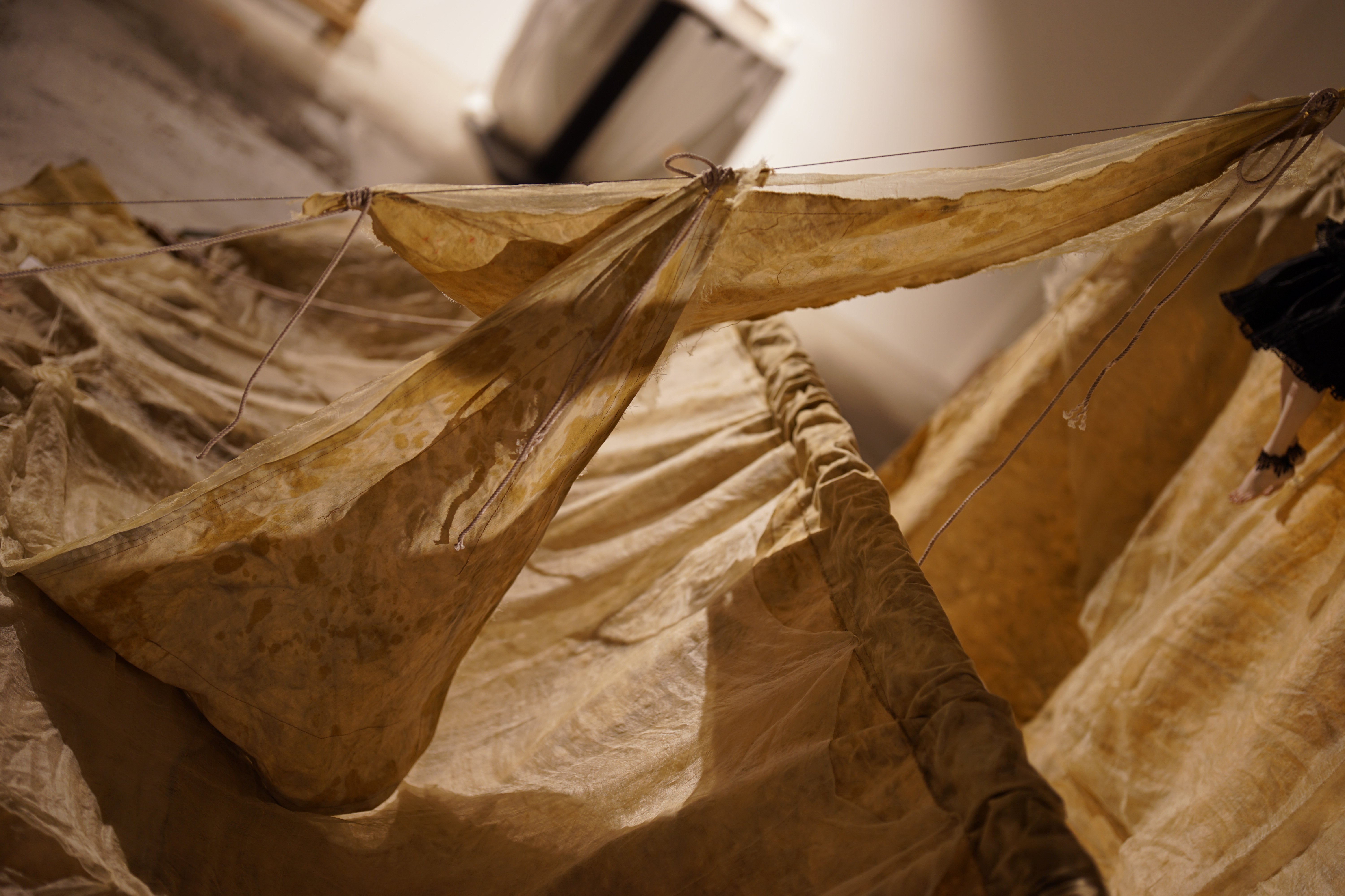 中川多理展「老天使の肋骨 The Costa of the Ancient Angel」⑧会場