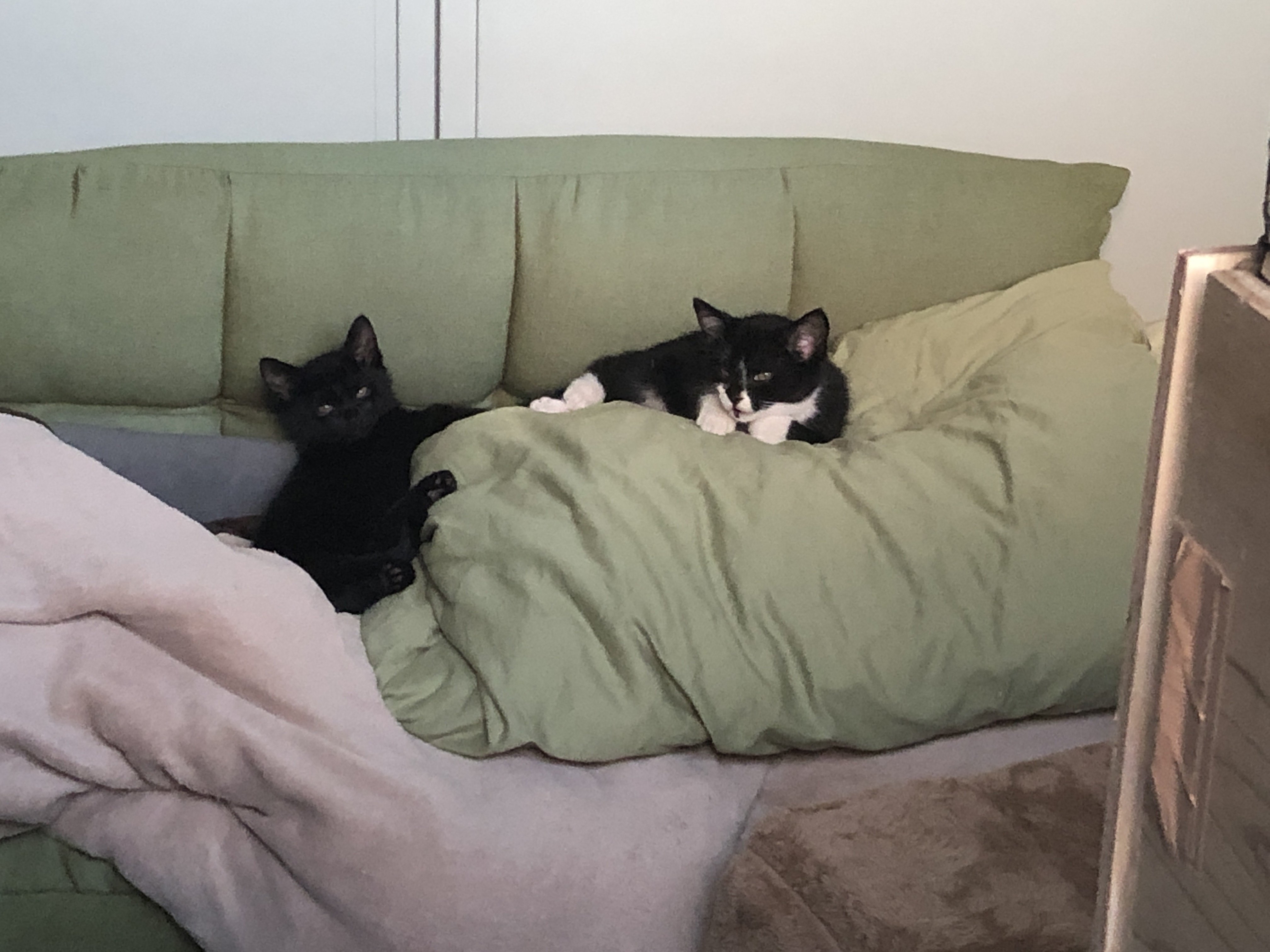 禅の道（40）宝鏡三昧｜念水庵