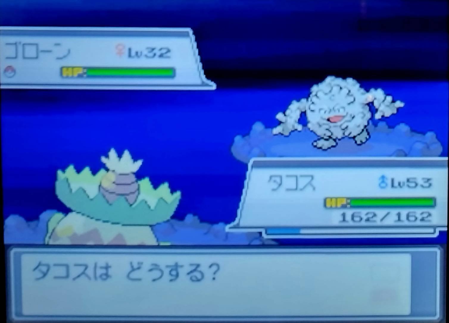 HGSS#18】レベルどこで上げるのぉぉぉおうわぁぁぁぁあレベル上げ