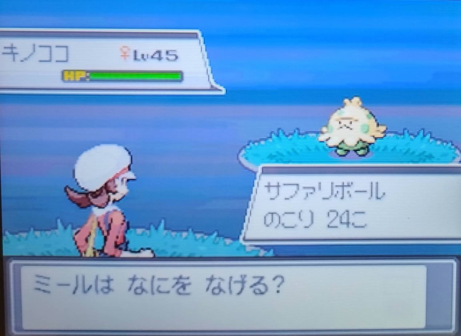 HGSS#18】レベルどこで上げるのぉぉぉおうわぁぁぁぁあレベル上げ