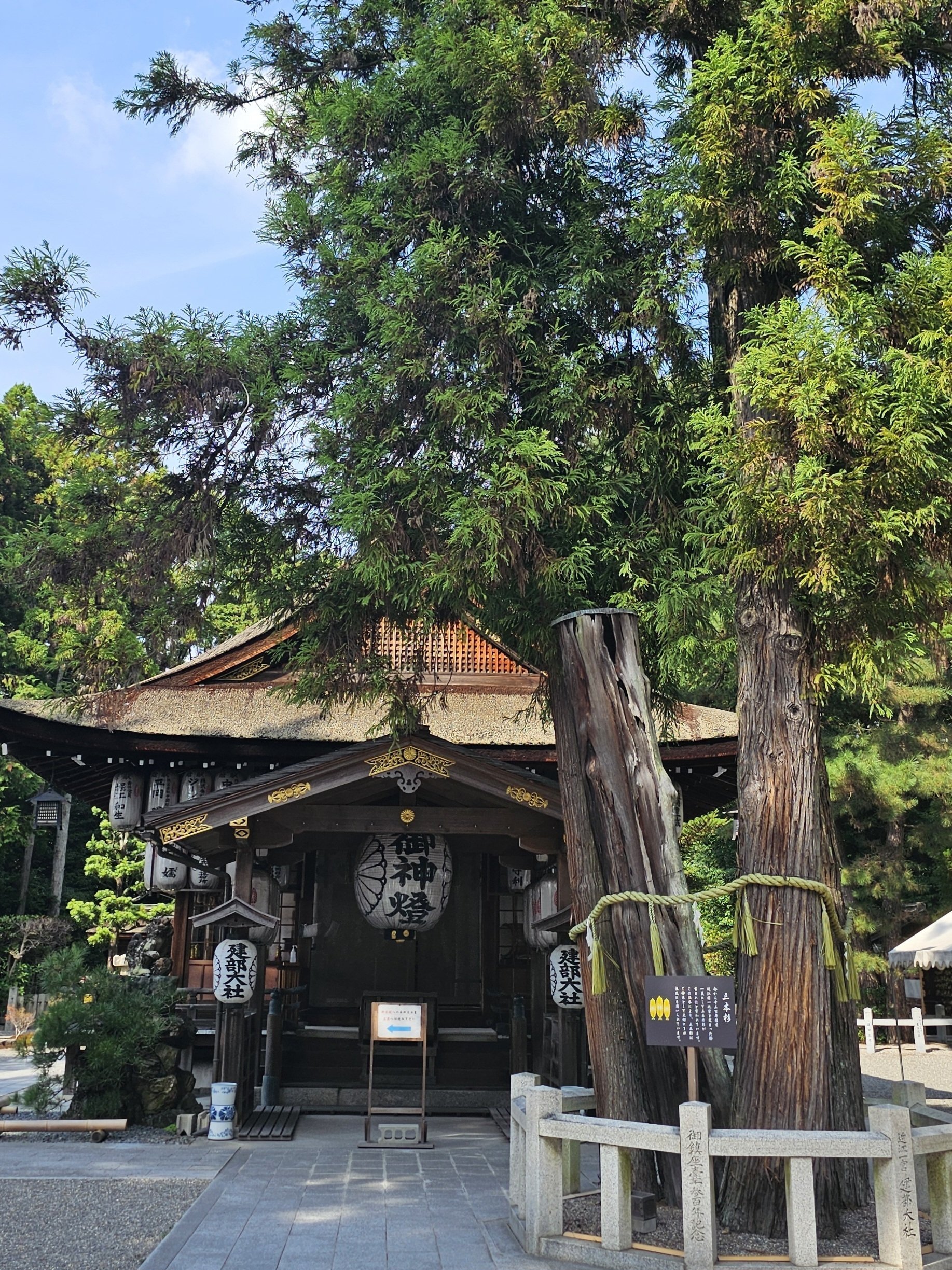 社寺散歩|建部大社|滋賀|日本初、まぼろしの千円札|xicano 社寺散歩|建部大社|滋賀|日本初、まぼろしの千円札|xicano